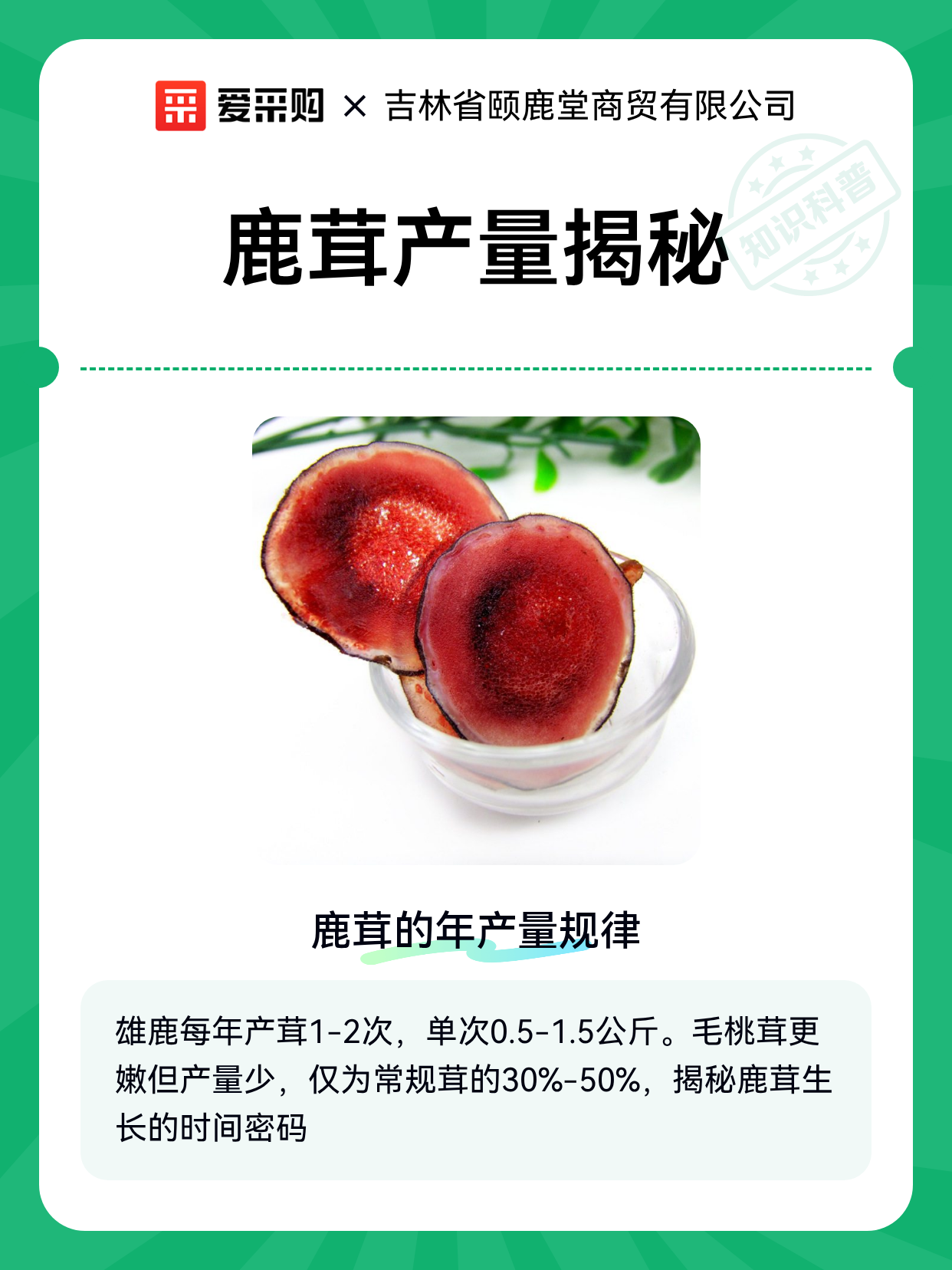 鹿茸产量揭秘（图1）