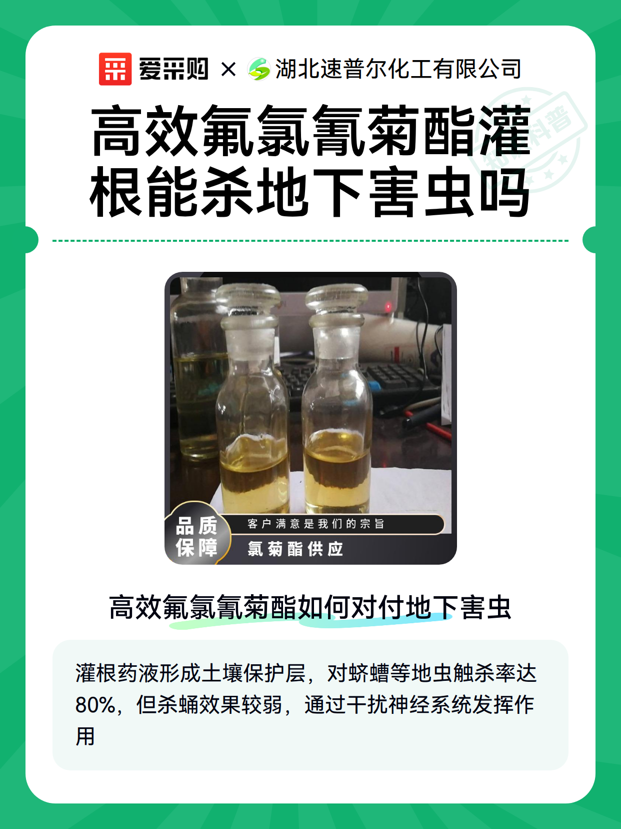高效氟氯氰菊酯灌根能杀地下害虫吗（图2）