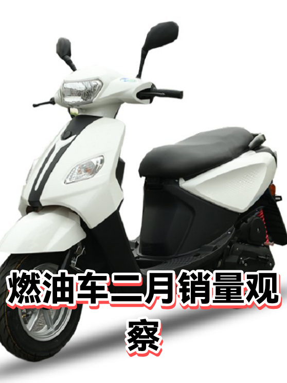 燃油车二月销量观察（图1）