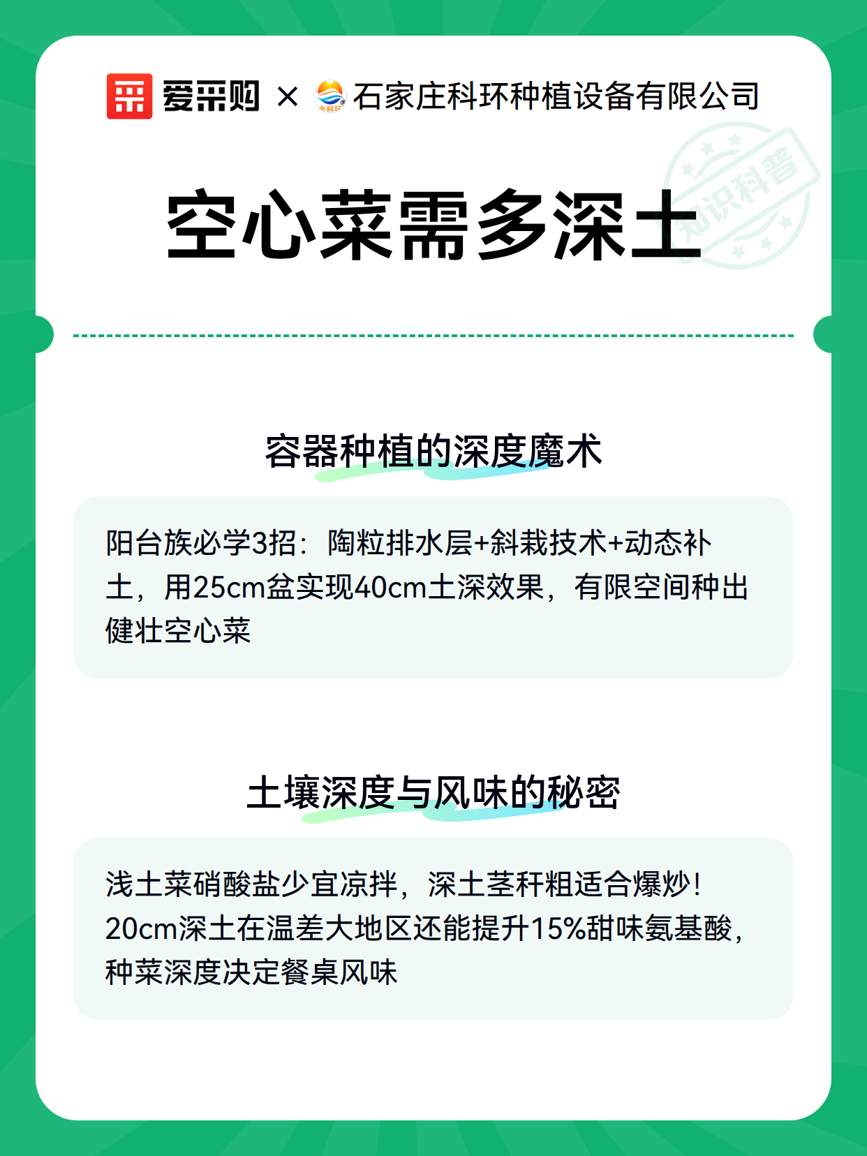 空心菜需多深土（图3）