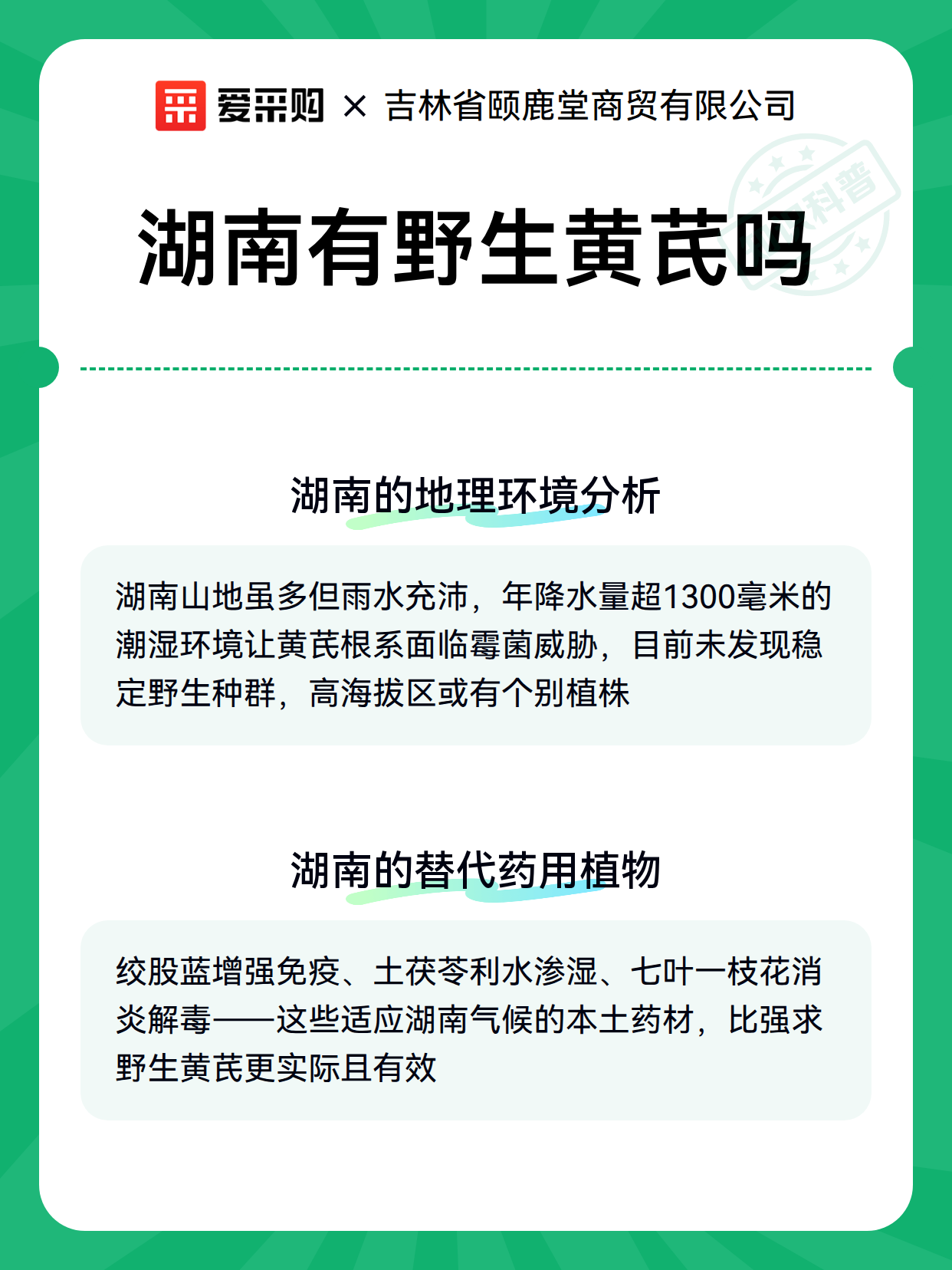 湖南有野生黄芪吗（图3）