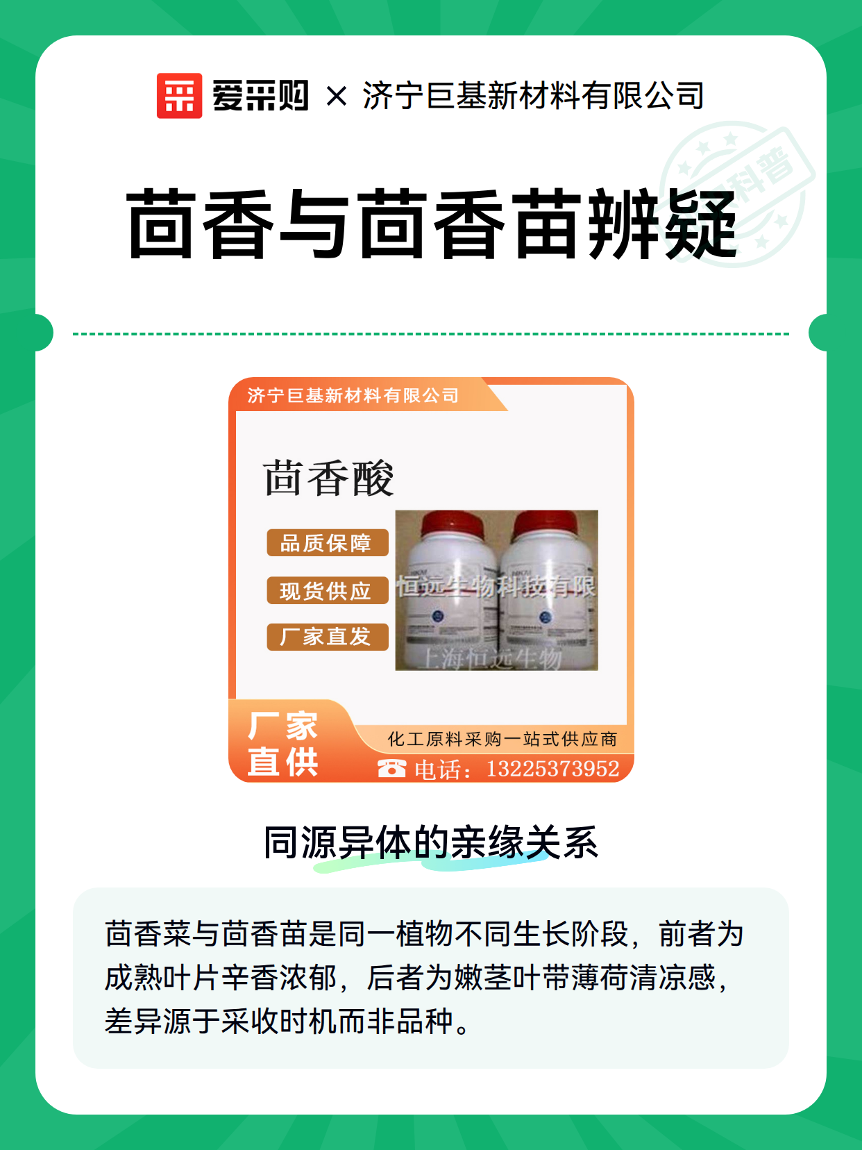 茴香与茴香苗辨疑（图1）