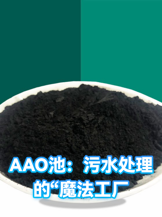 AAO池：污水处理的“魔法工厂（图1）