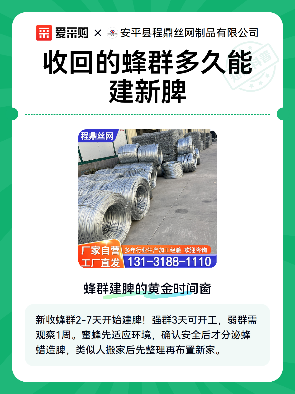 收回的蜂群多久能建新脾（图1）