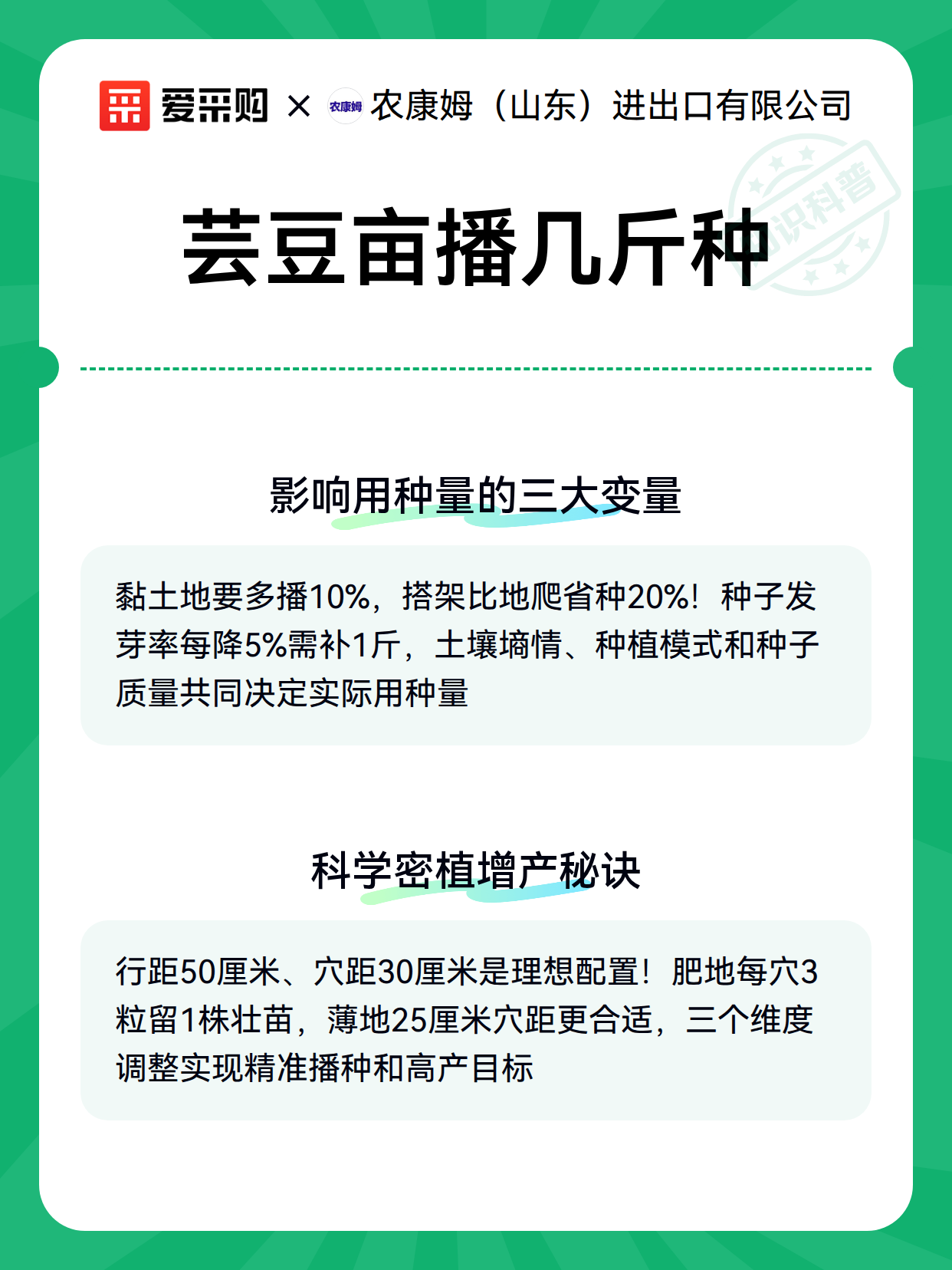 芸豆亩播几斤种（图2）