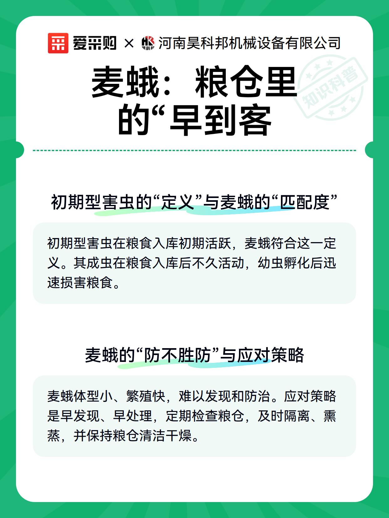 麦蛾：粮仓里的“早到客（图2）