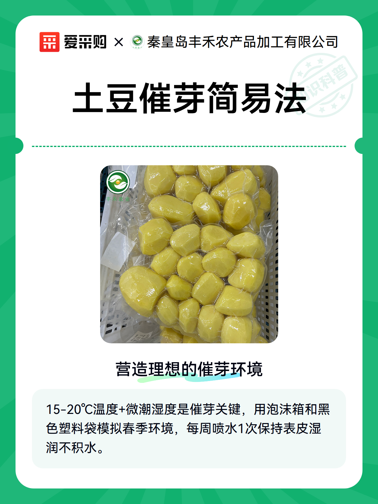 土豆催芽简易法（图2）