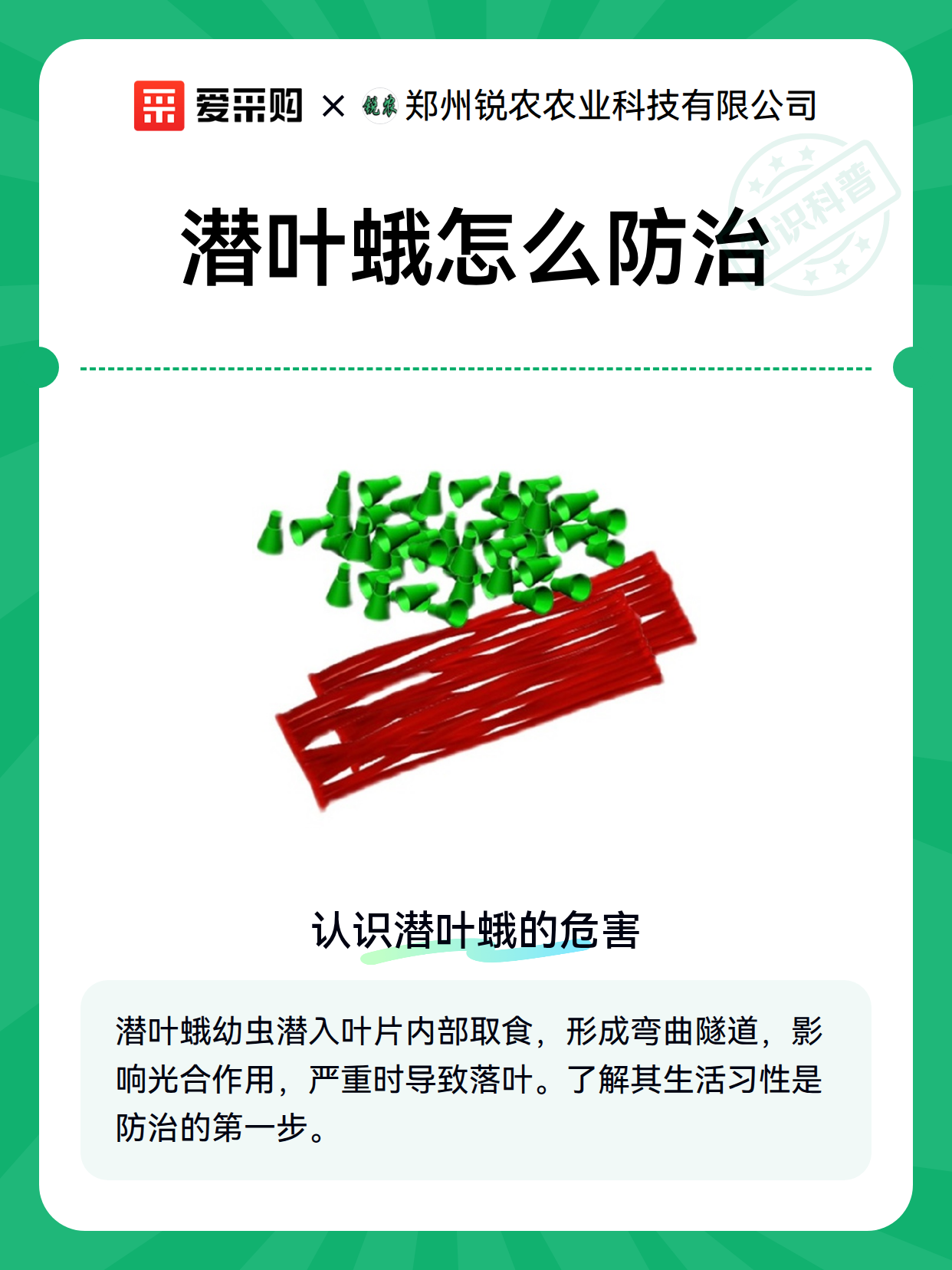 潜叶蛾怎么防治（图1）