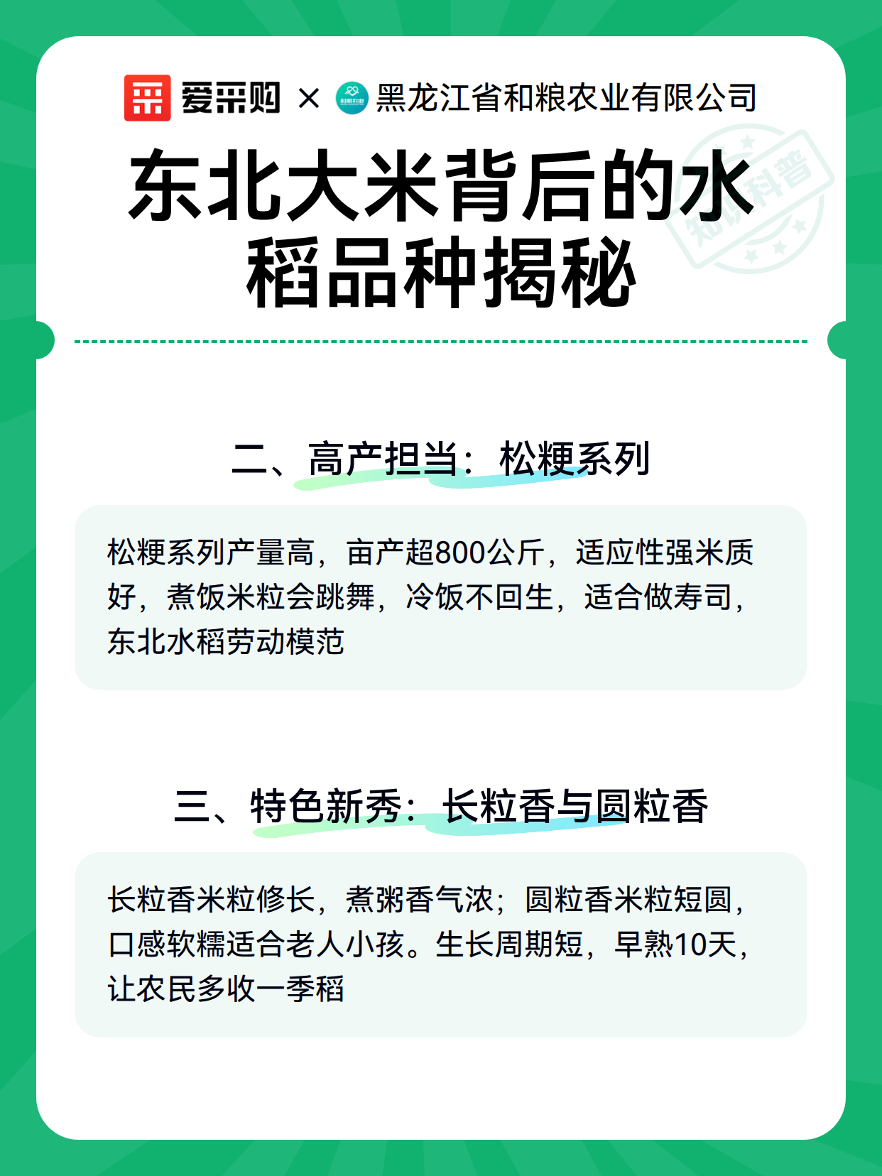 东北大米背后的水稻品种揭秘（图3）