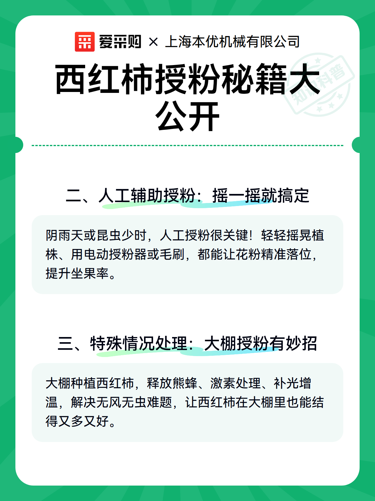 西红柿授粉秘籍大公开（图3）