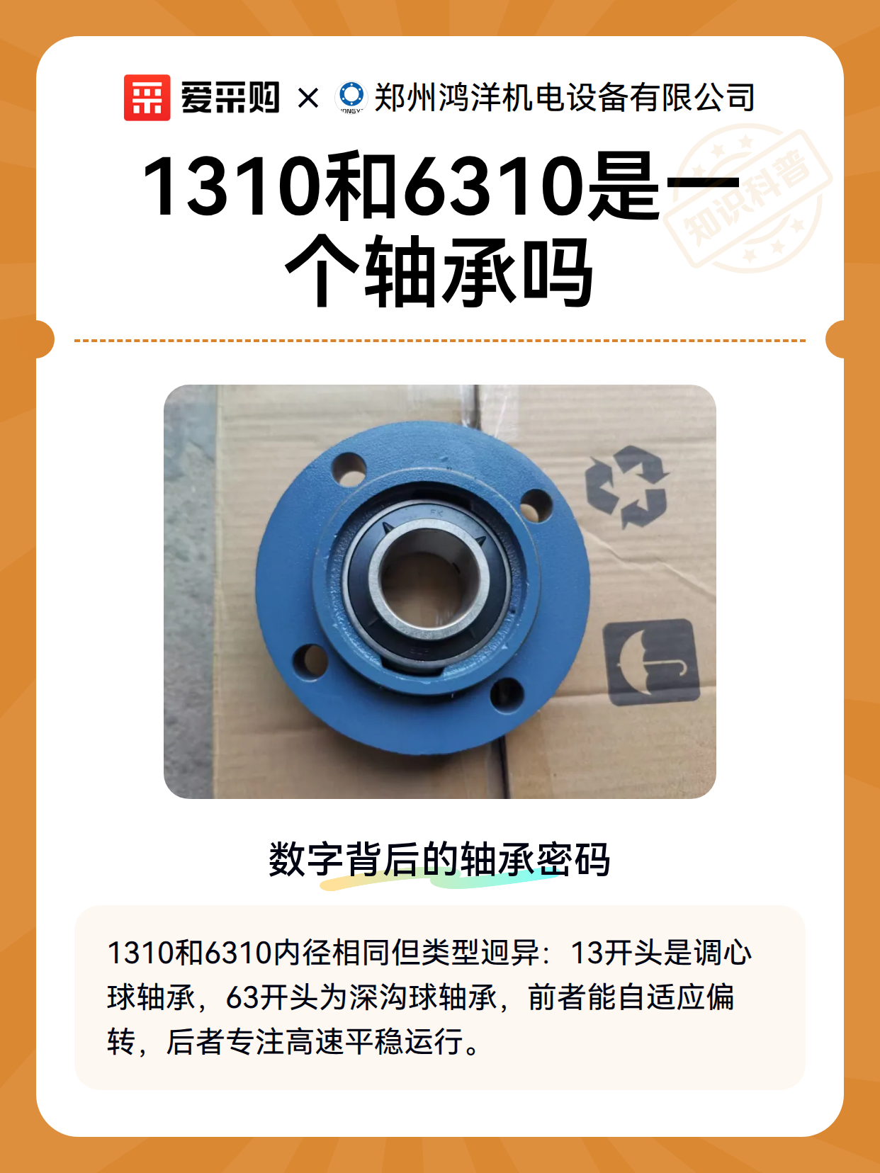 1310和6310是一个轴承吗（图2）