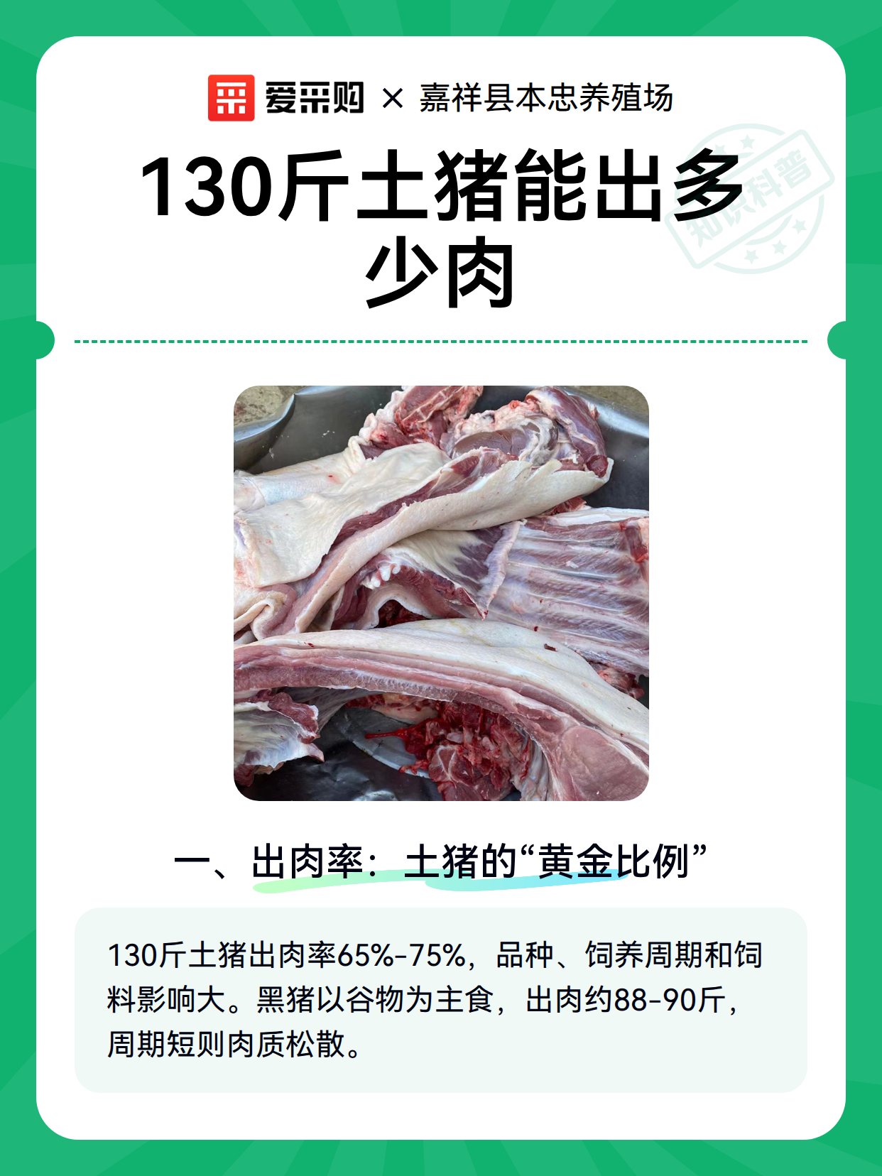 130斤土猪能出多少肉（图1）
