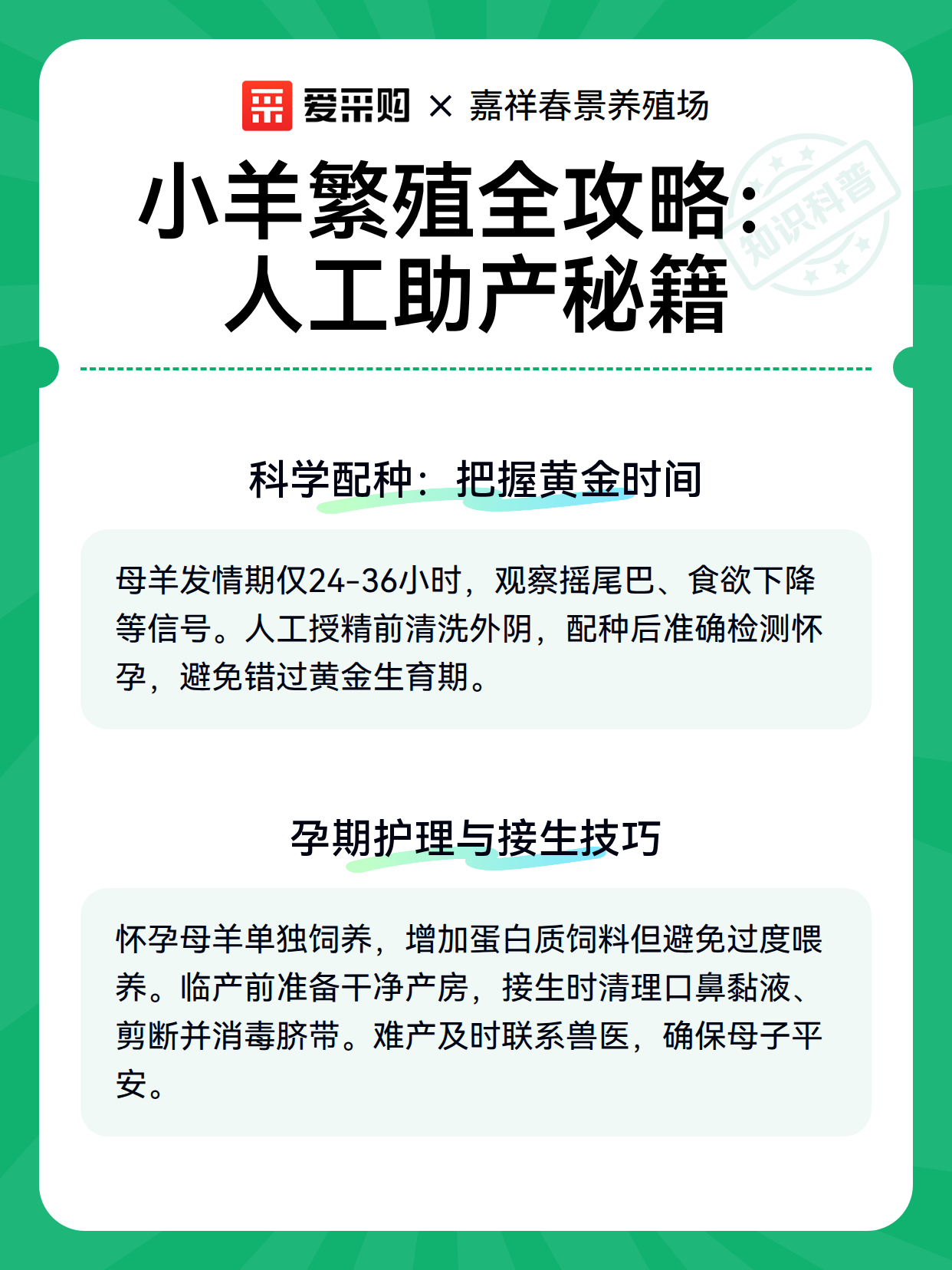 小羊繁殖全攻略：人工助产秘籍（图3）