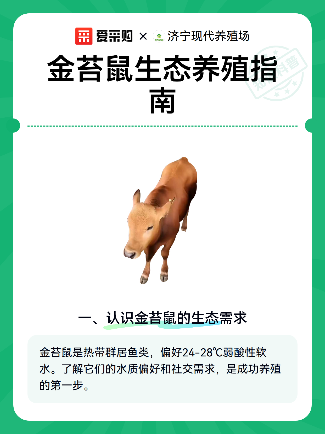金苔鼠生态养殖指南（图2）