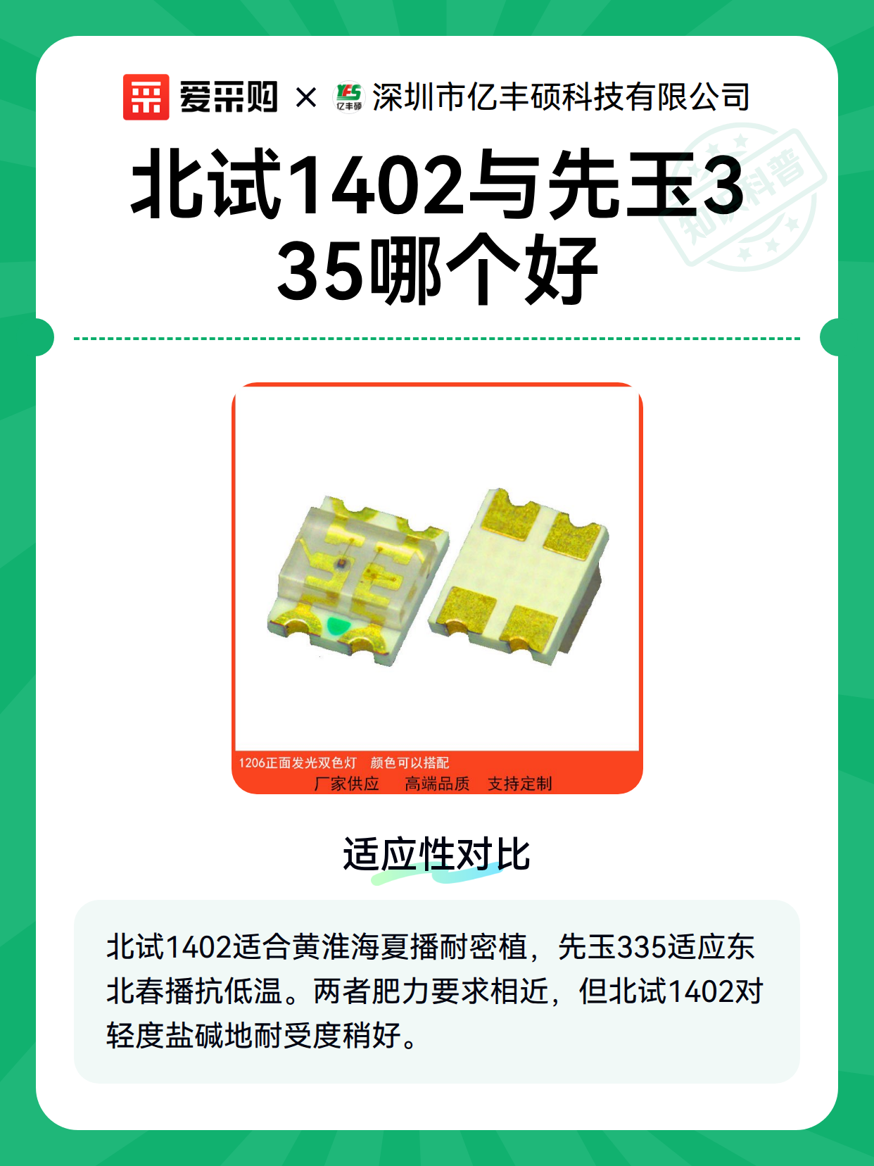 北试1402与先玉335哪个好（图1）