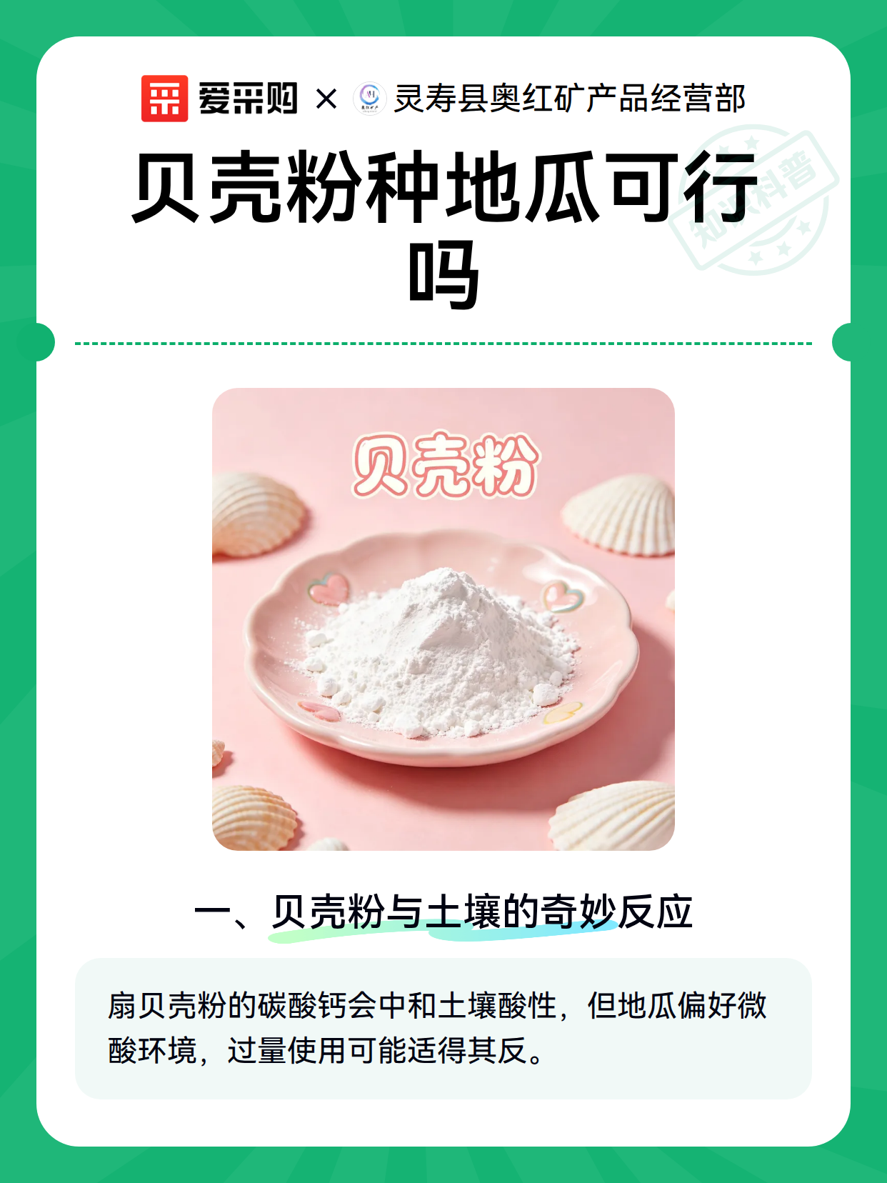 贝壳粉种地瓜可行吗（图2）