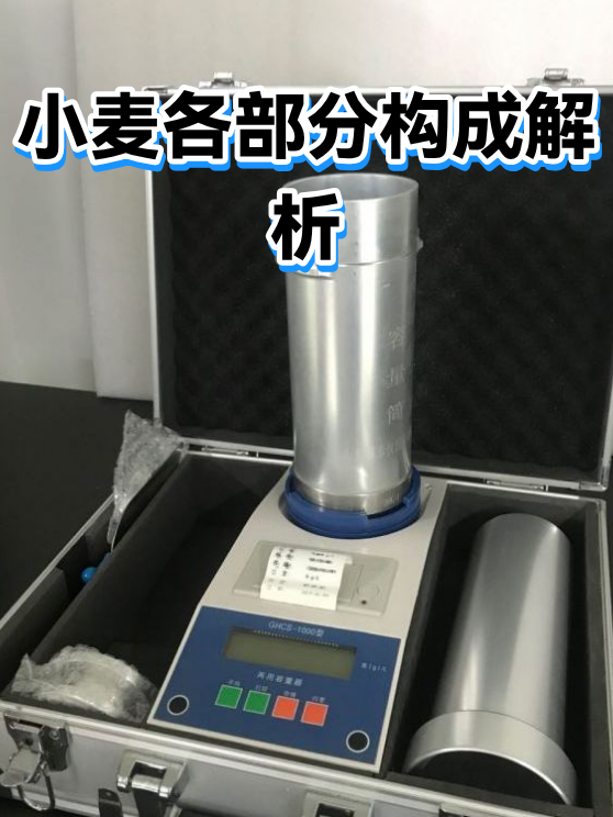 小麦各部分构成解析（图1）