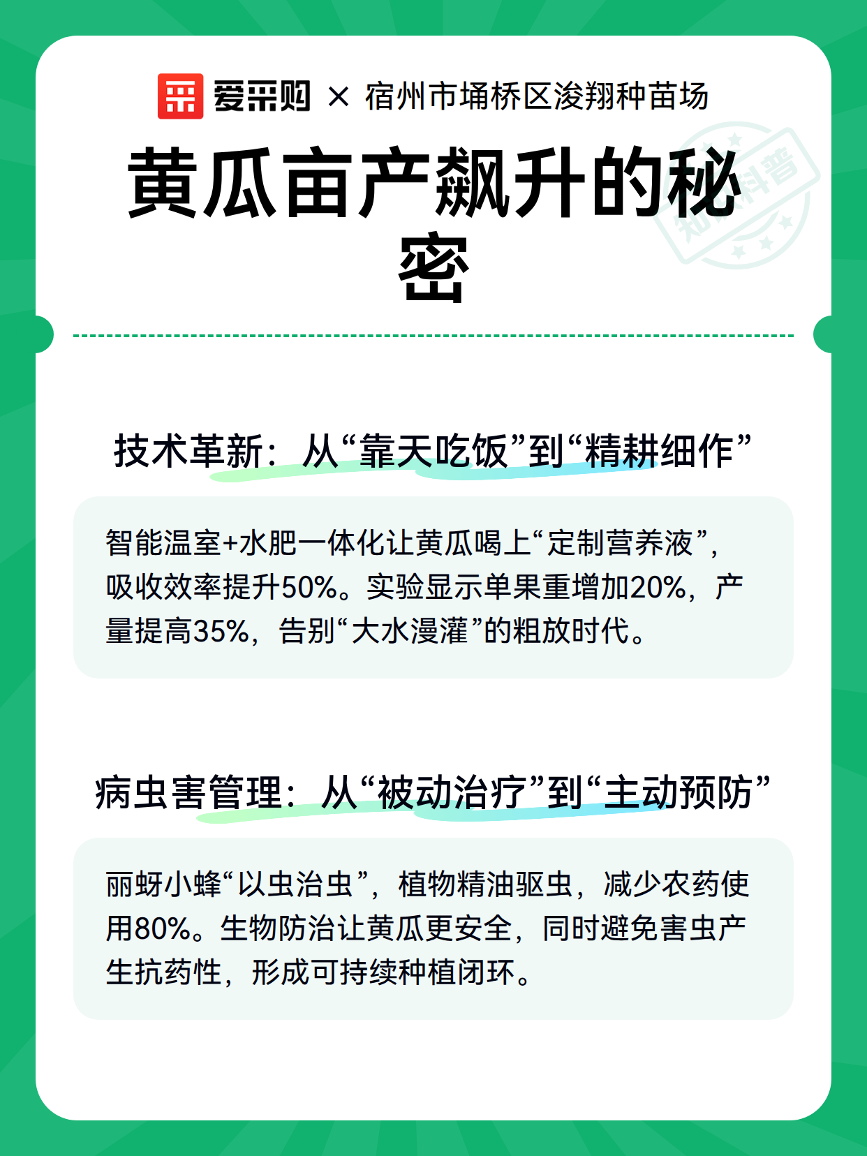 黄瓜亩产飙升的秘密（图3）