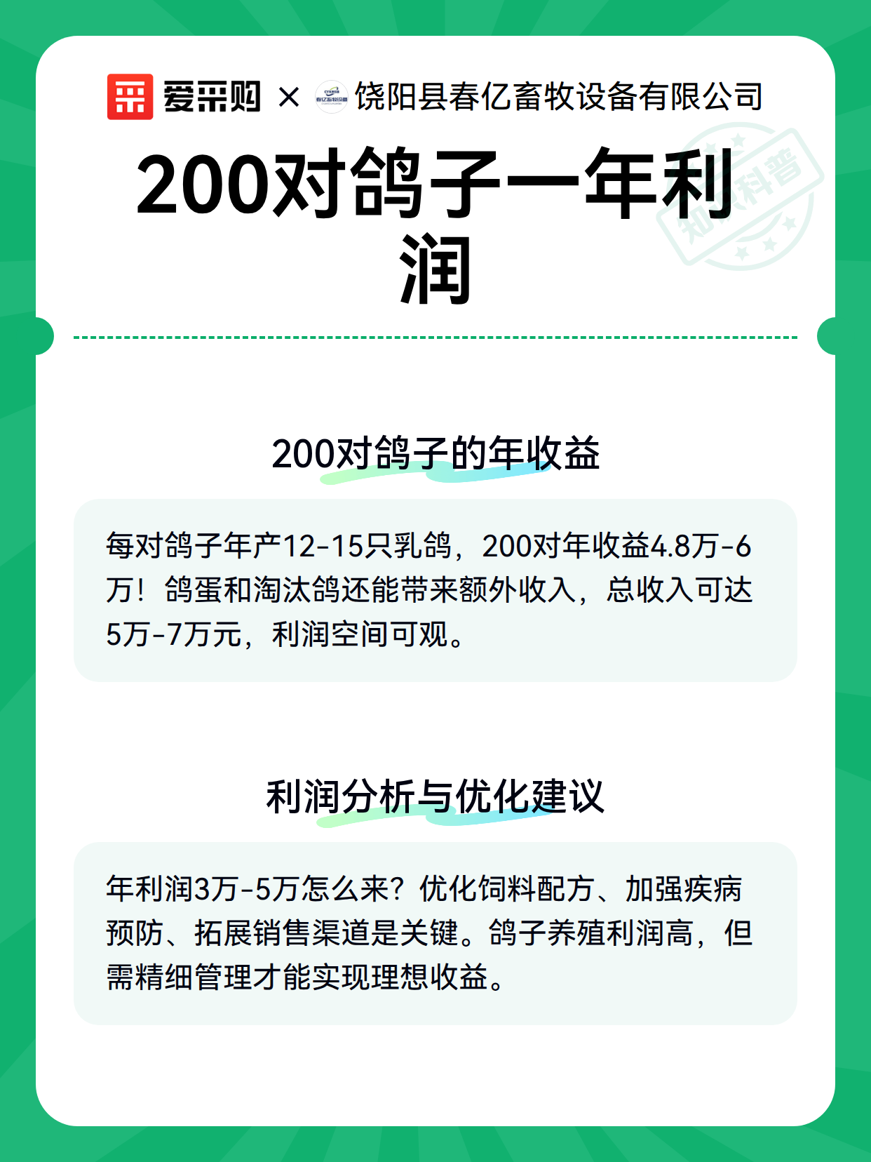 200对鸽子一年利润（图2）