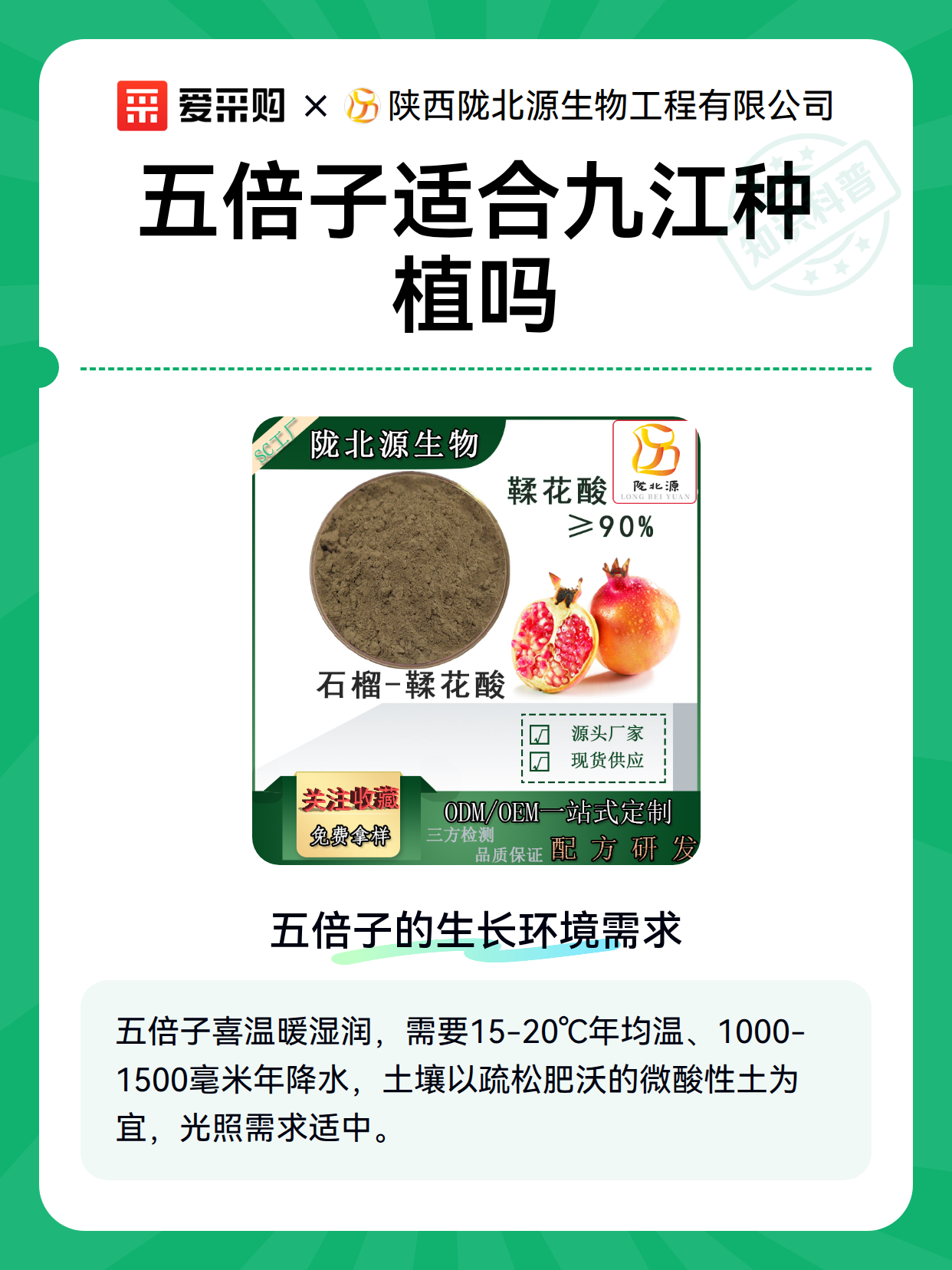 五倍子适合九江种植吗（图2）