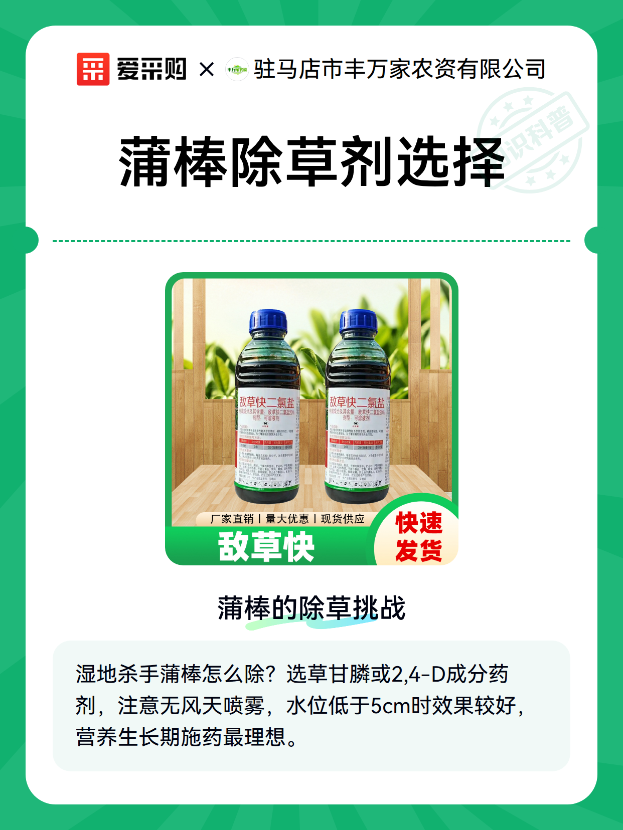 蒲棒除草剂选择（图2）