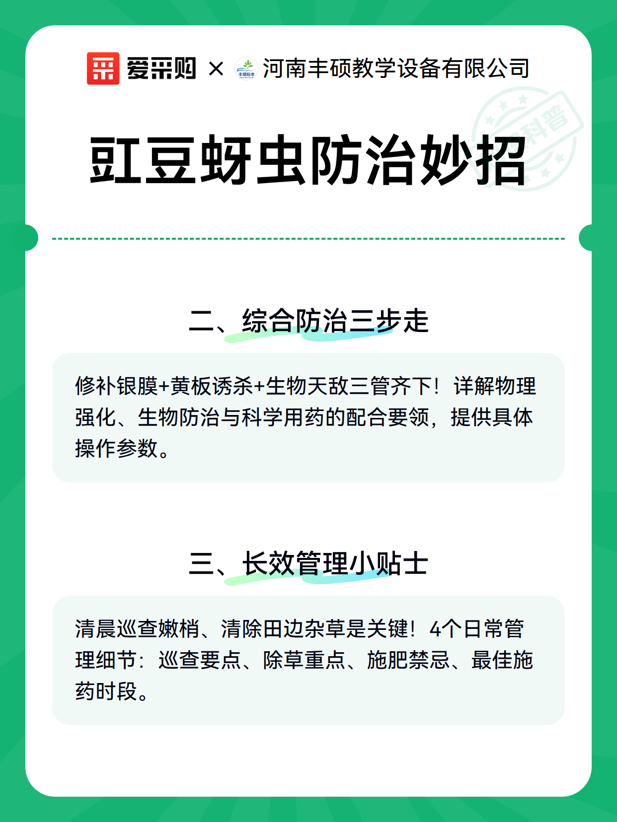 豇豆蚜虫防治妙招（图3）