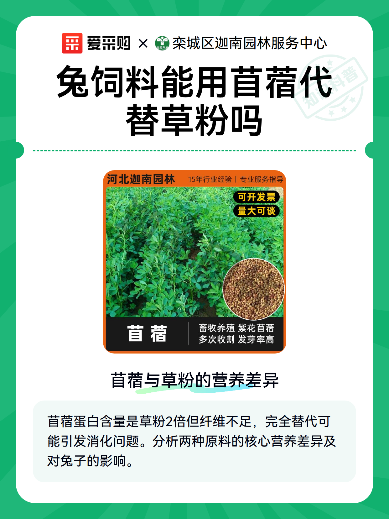 兔饲料能用苜蓿代替草粉吗（图2）