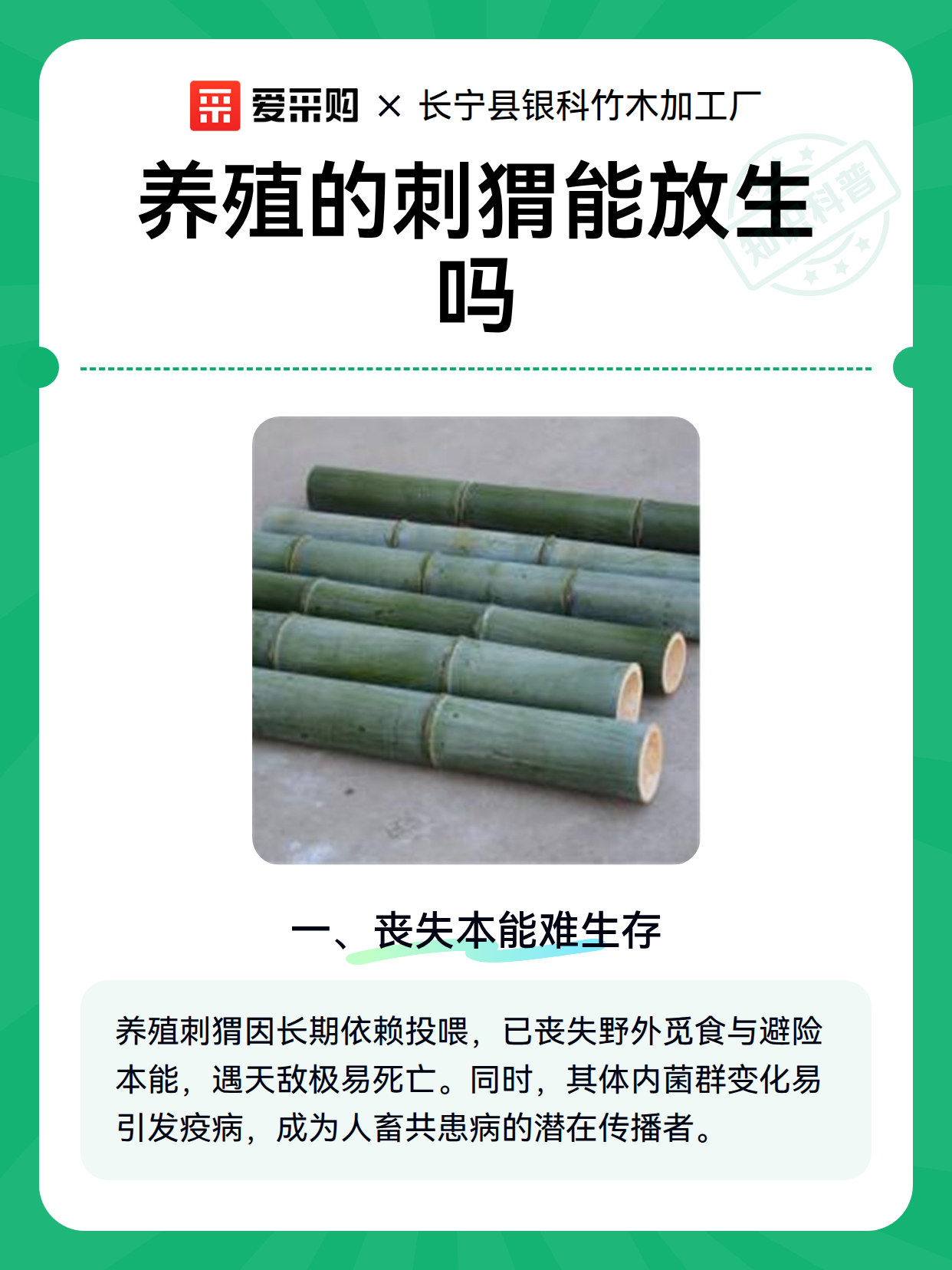 养殖的刺猬能放生吗（图2）