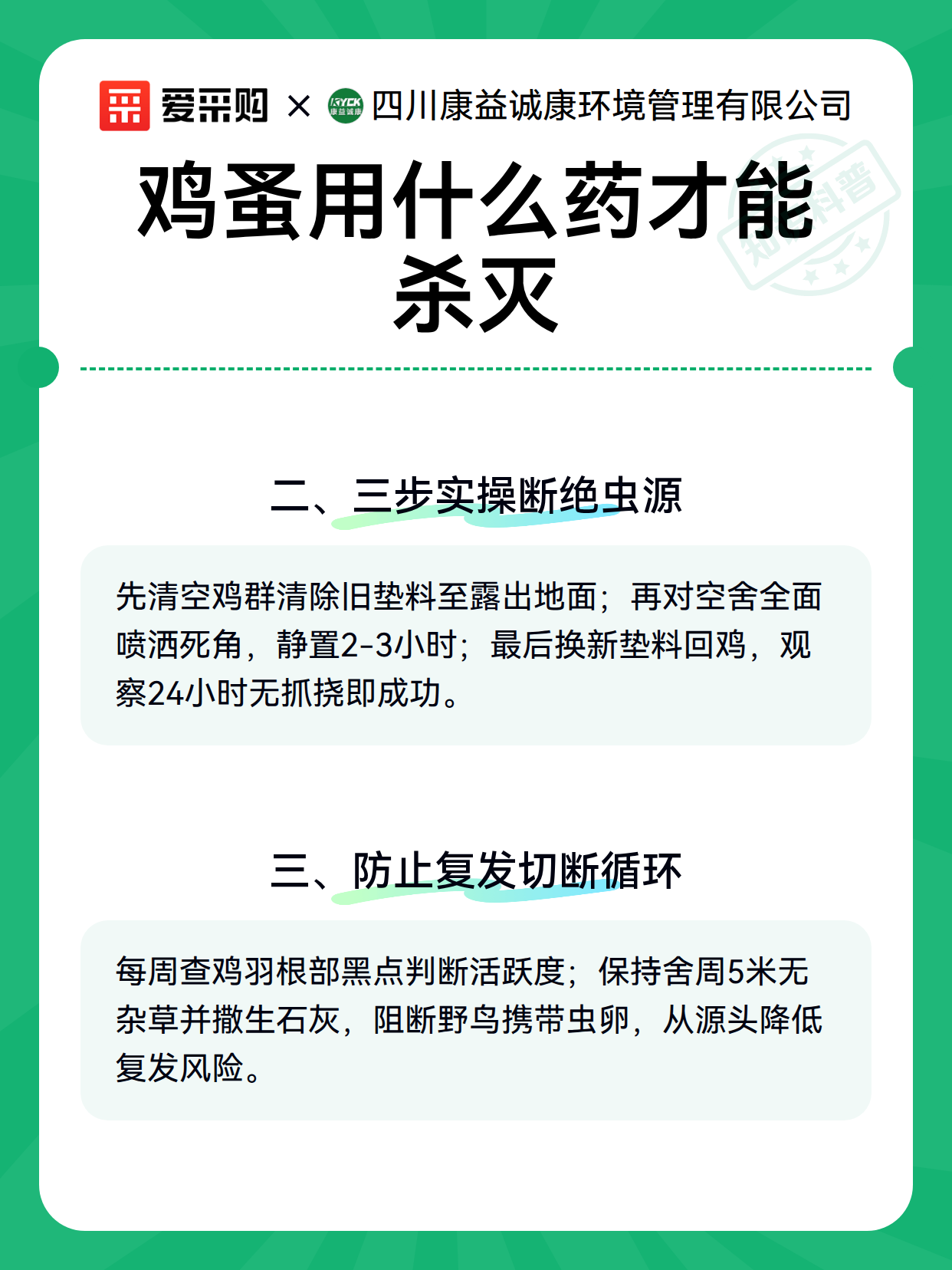 鸡蚤用什么药才能杀灭（图2）