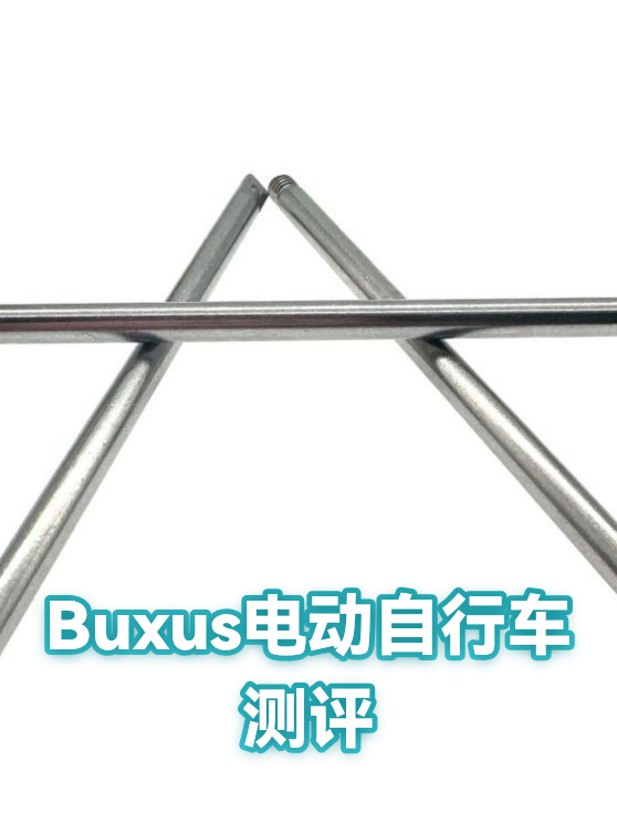 Buxus电动自行车测评（图1）