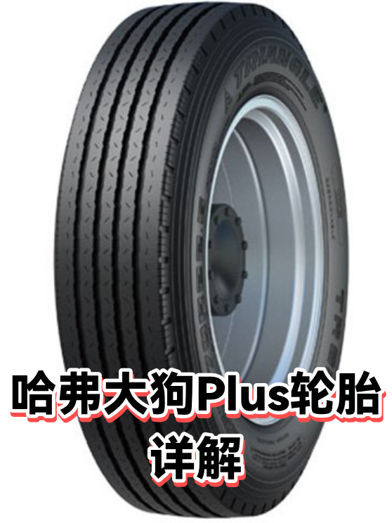 哈弗大狗Plus轮胎详解（图1）