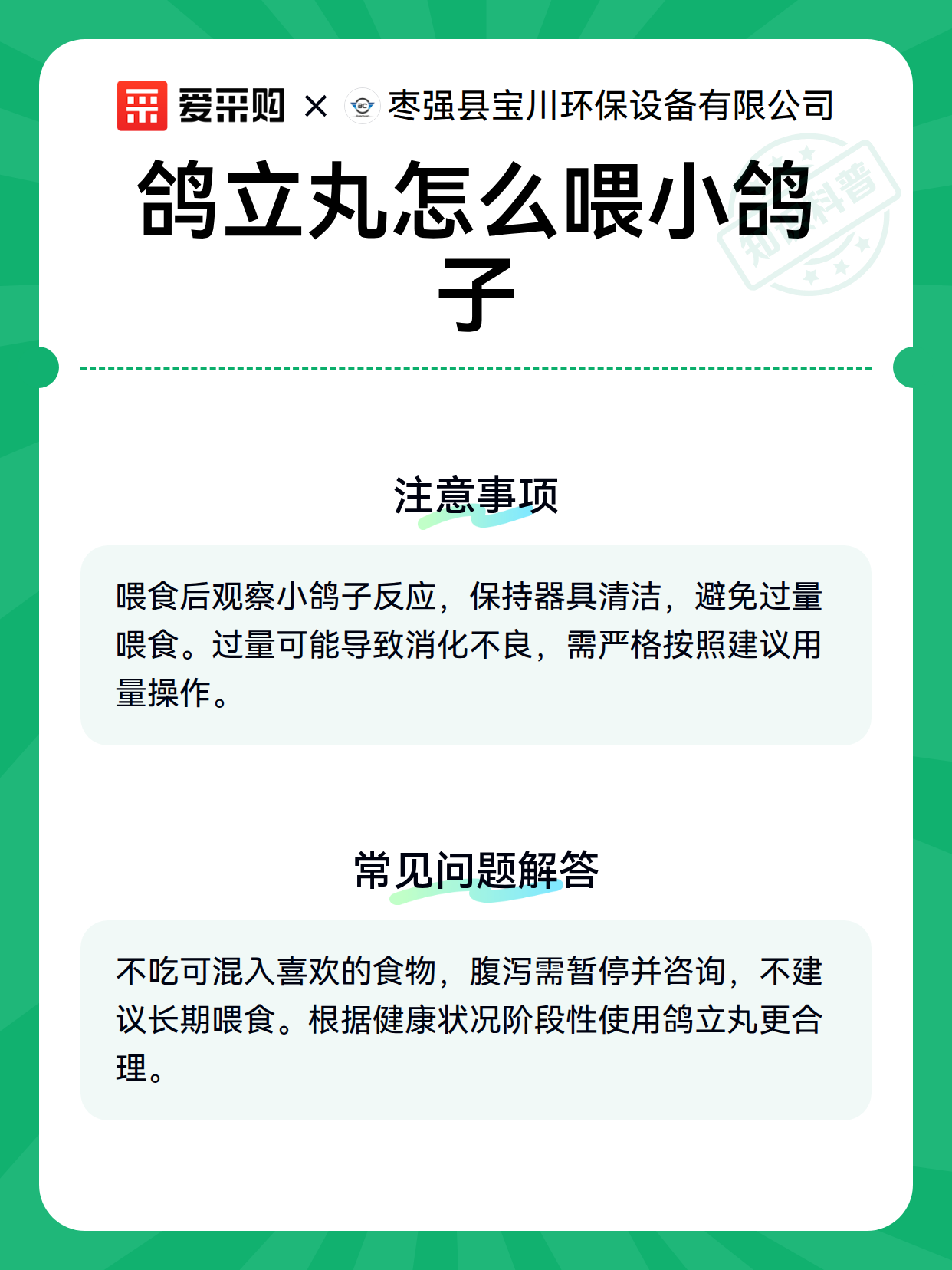 鸽立丸怎么喂小鸽子（图2）