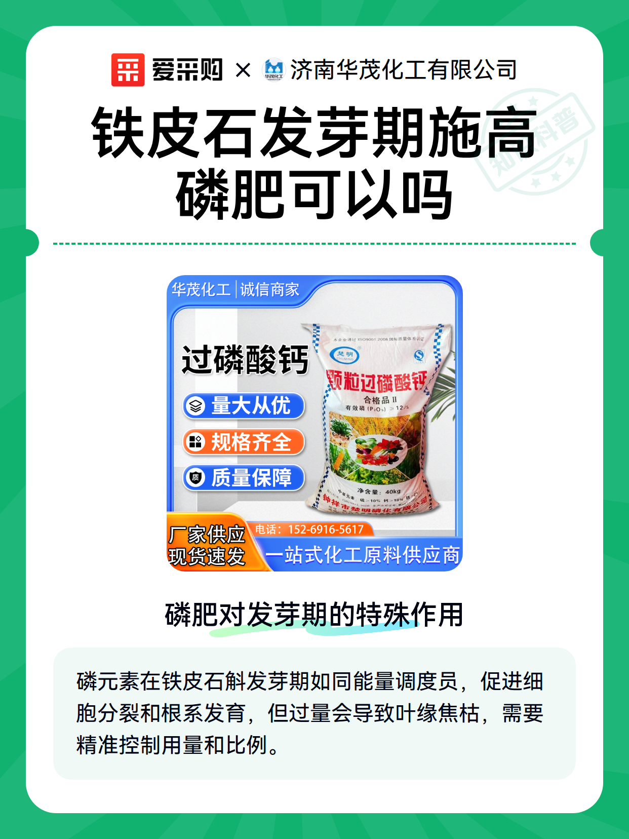 铁皮石发芽期施高磷肥可以吗（图2）