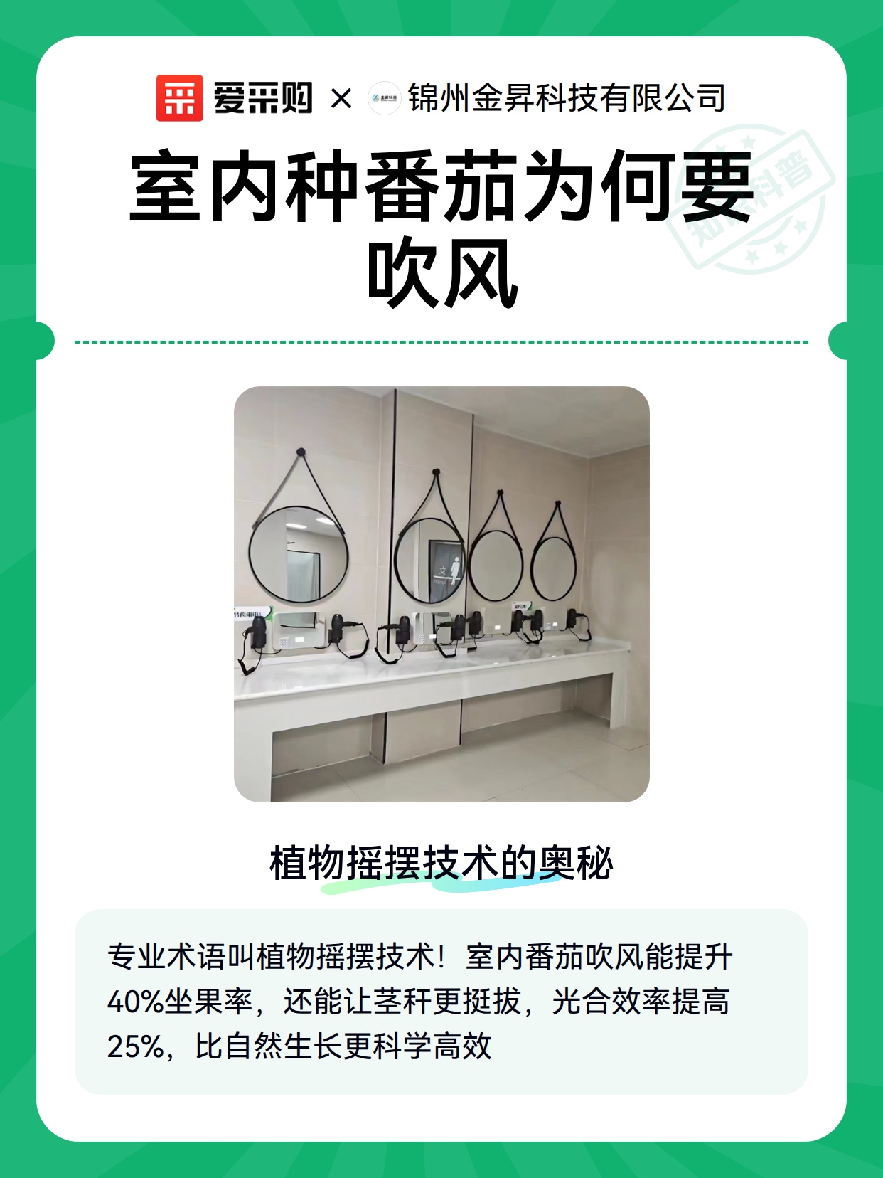 室内种番茄为何要吹风（图1）