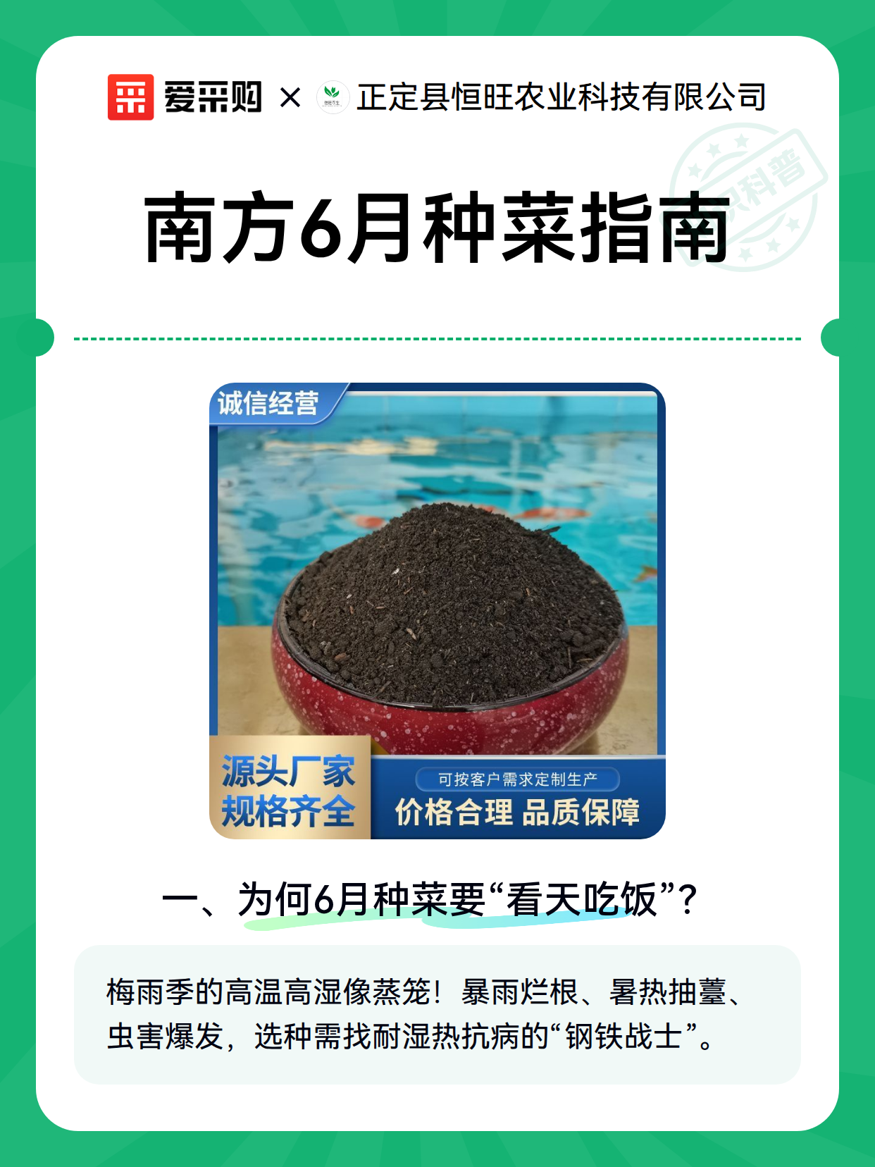 南方6月种菜指南（图2）