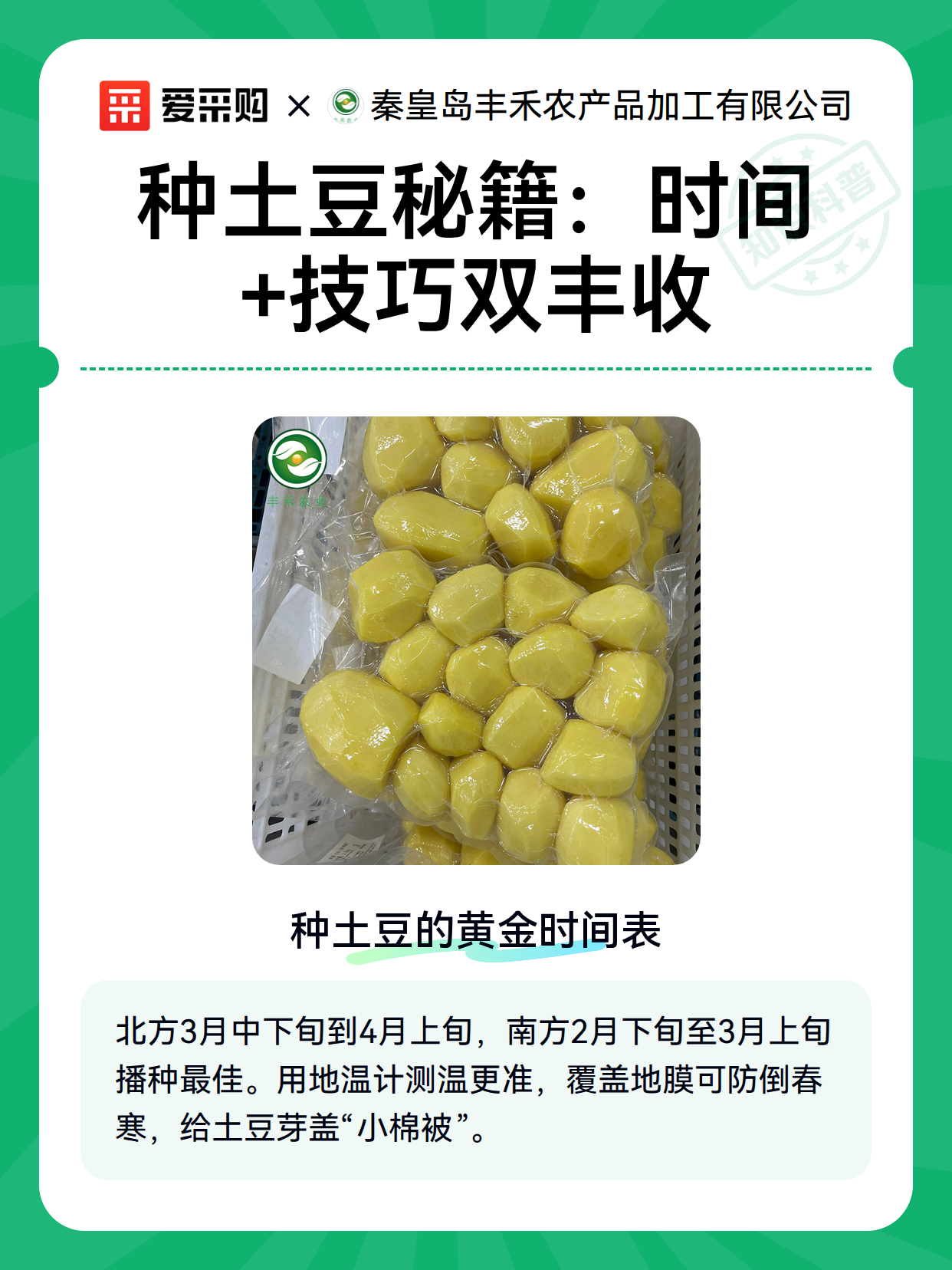 种土豆秘籍：时间+技巧双丰收（图2）