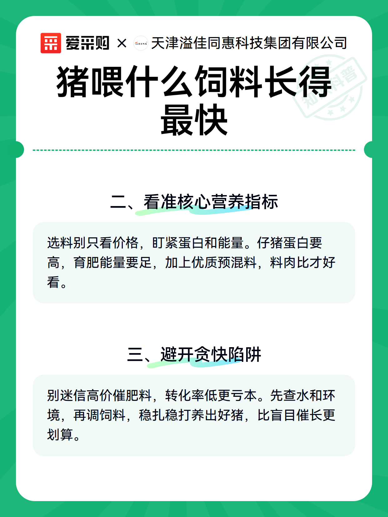 猪喂什么饲料长得最快（图3）