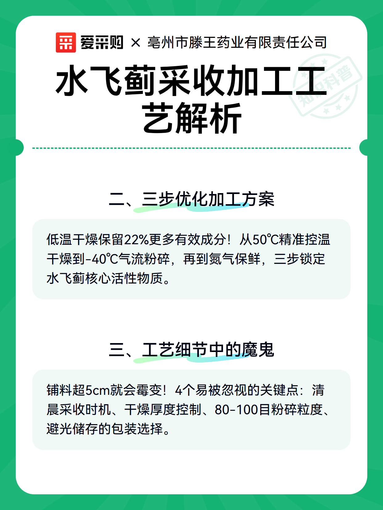 水飞蓟采收加工工艺解析（图3）