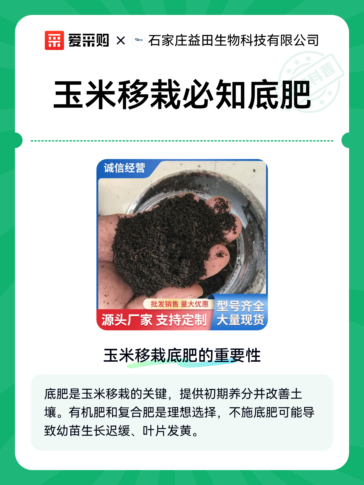 玉米移栽必知底肥（图1）