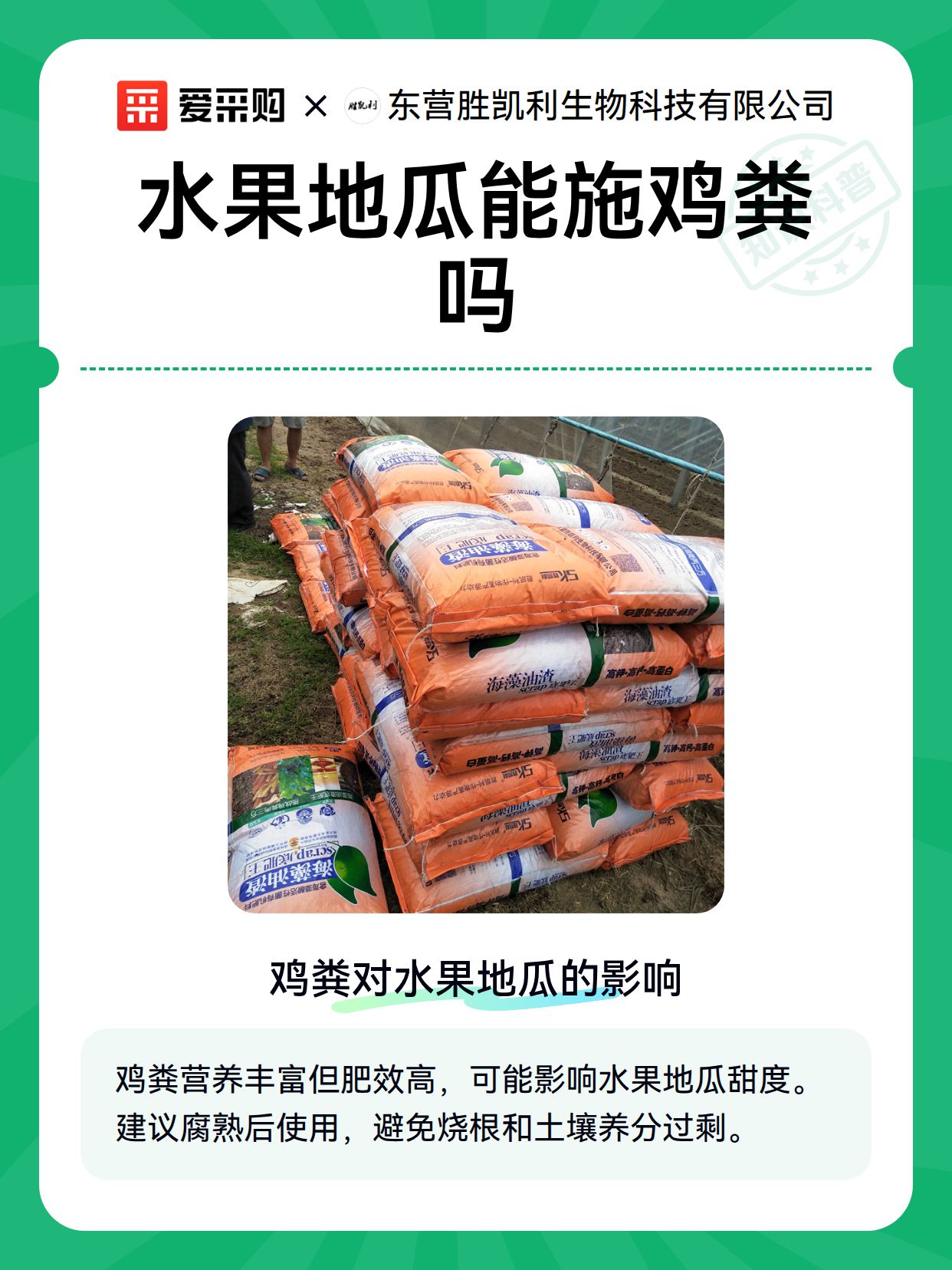 水果地瓜能施鸡粪吗（图2）