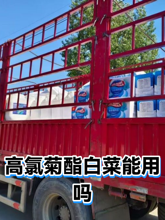 高氯菊酯白菜能用吗（图1）