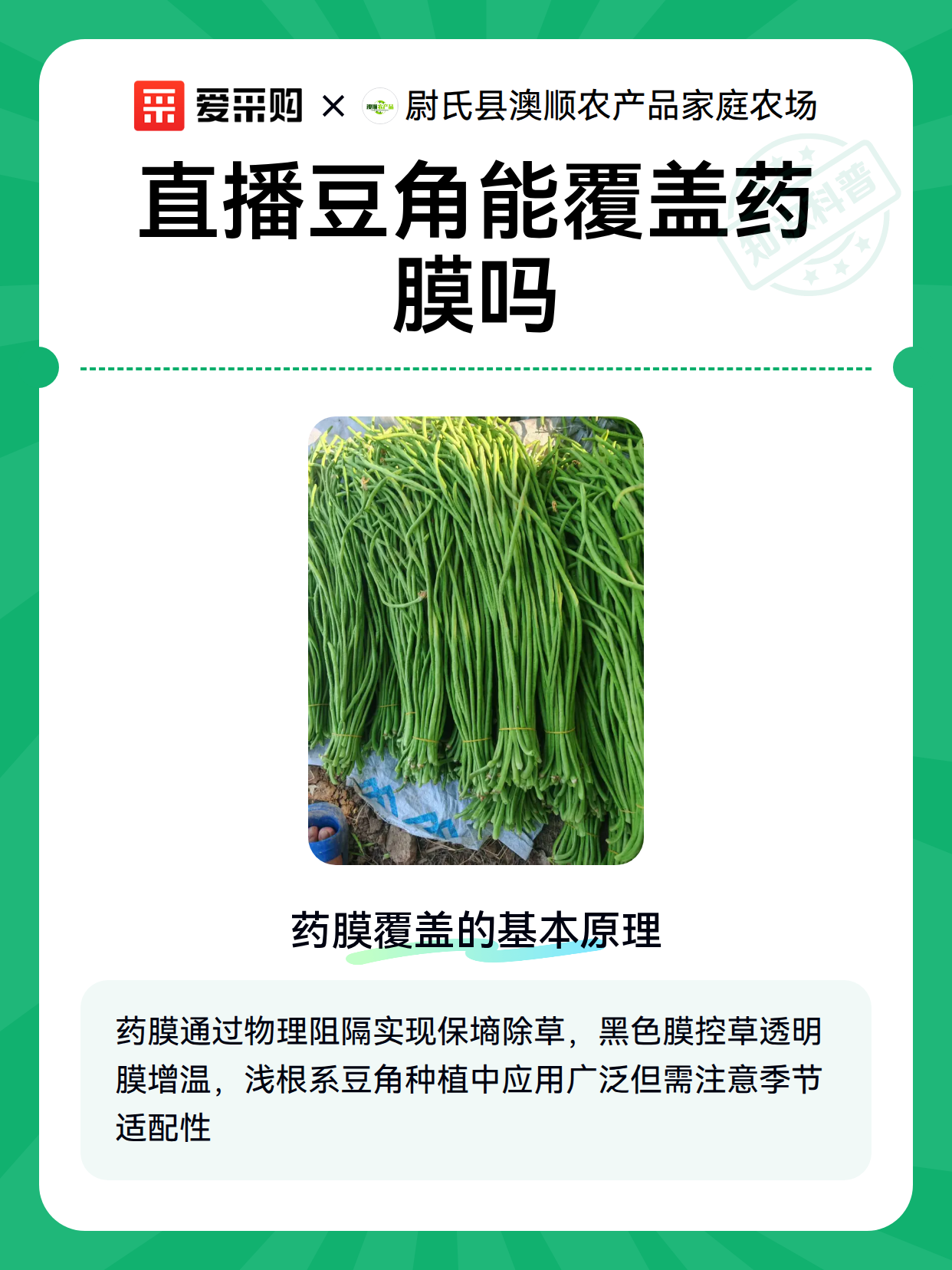 直播豆角能覆盖药膜吗（图2）