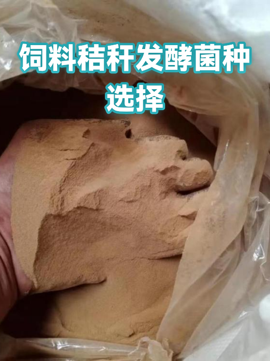 饲料秸秆发酵菌种选择（图1）
