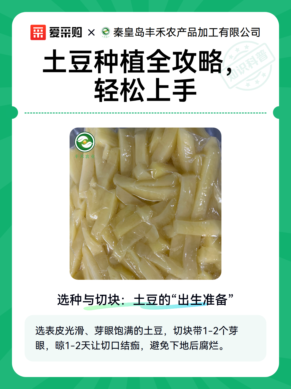 土豆种植全攻略，轻松上手（图2）