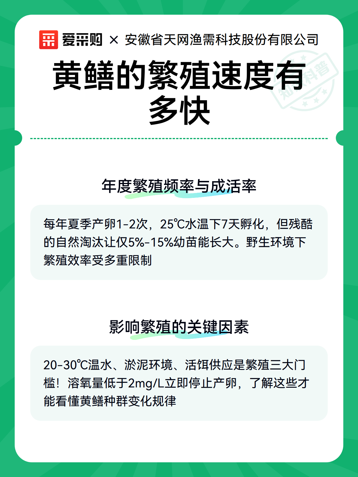 黄鳝的繁殖速度有多快（图2）
