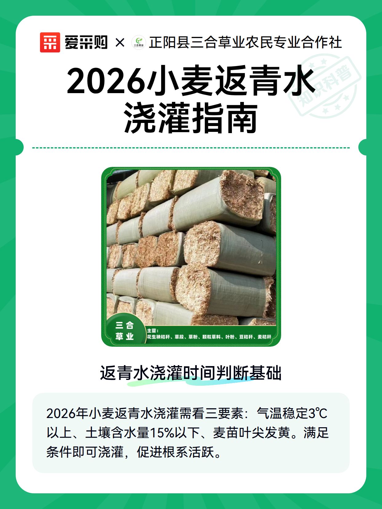 2026小麦返青水浇灌指南（图2）