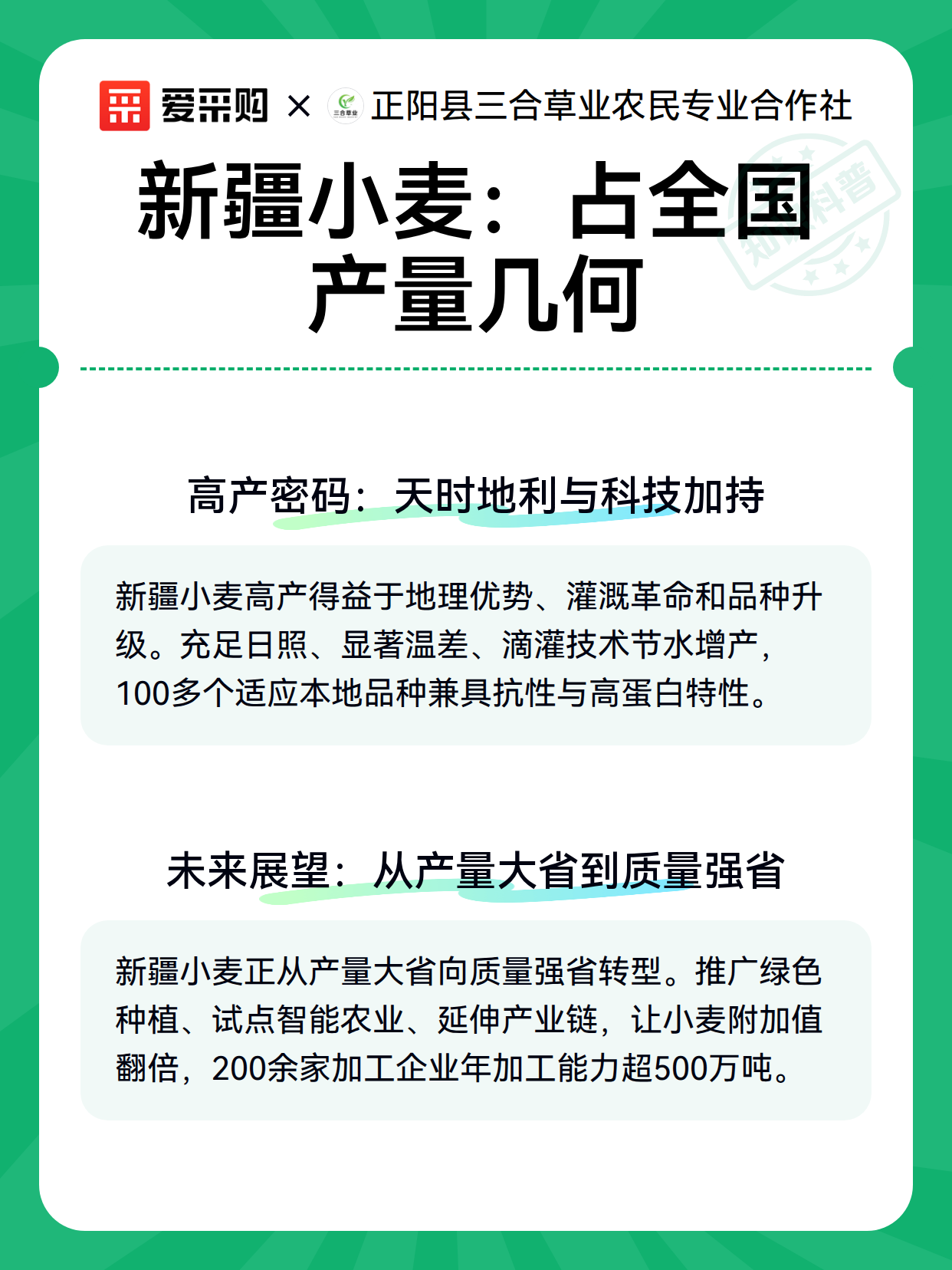 新疆小麦：占全国产量几何（图3）