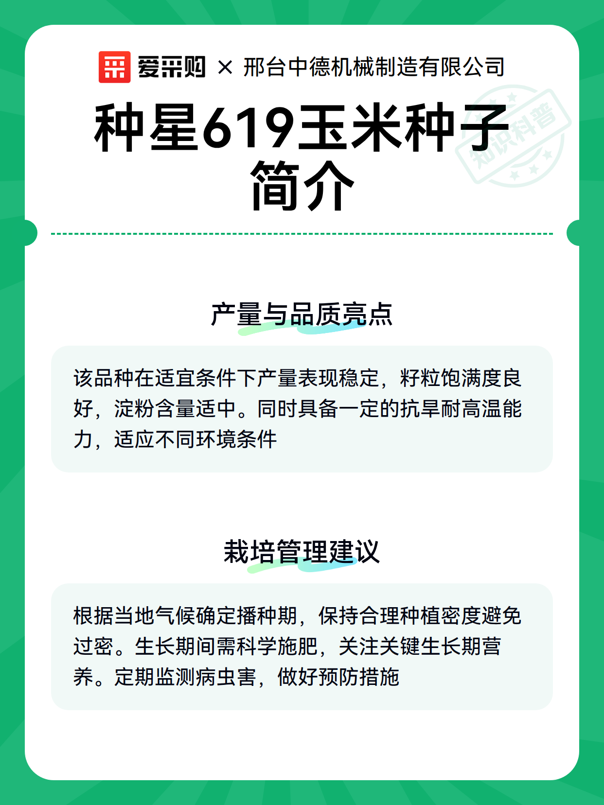 种星619玉米种子简介（图3）