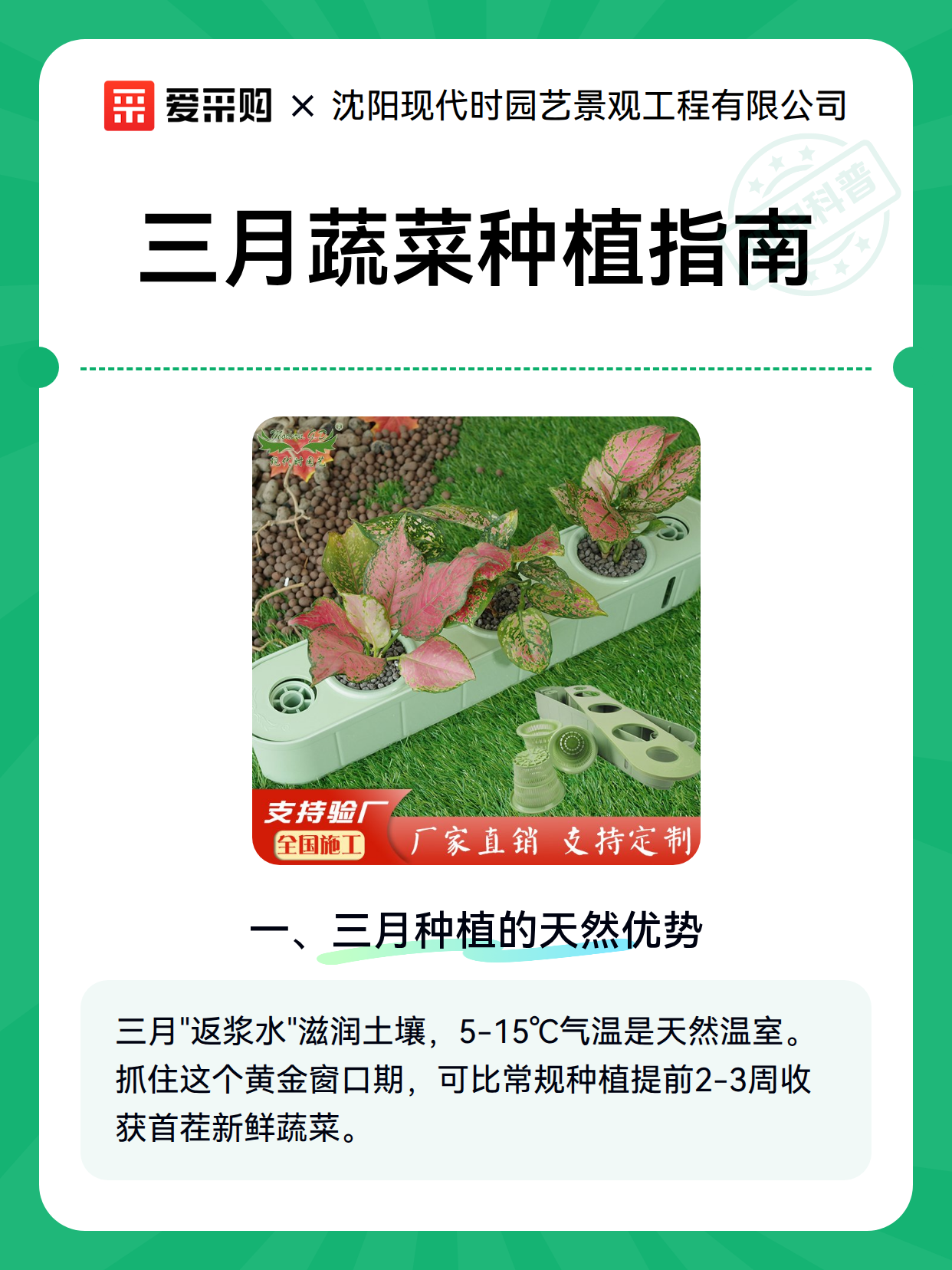 三月蔬菜种植指南（图2）
