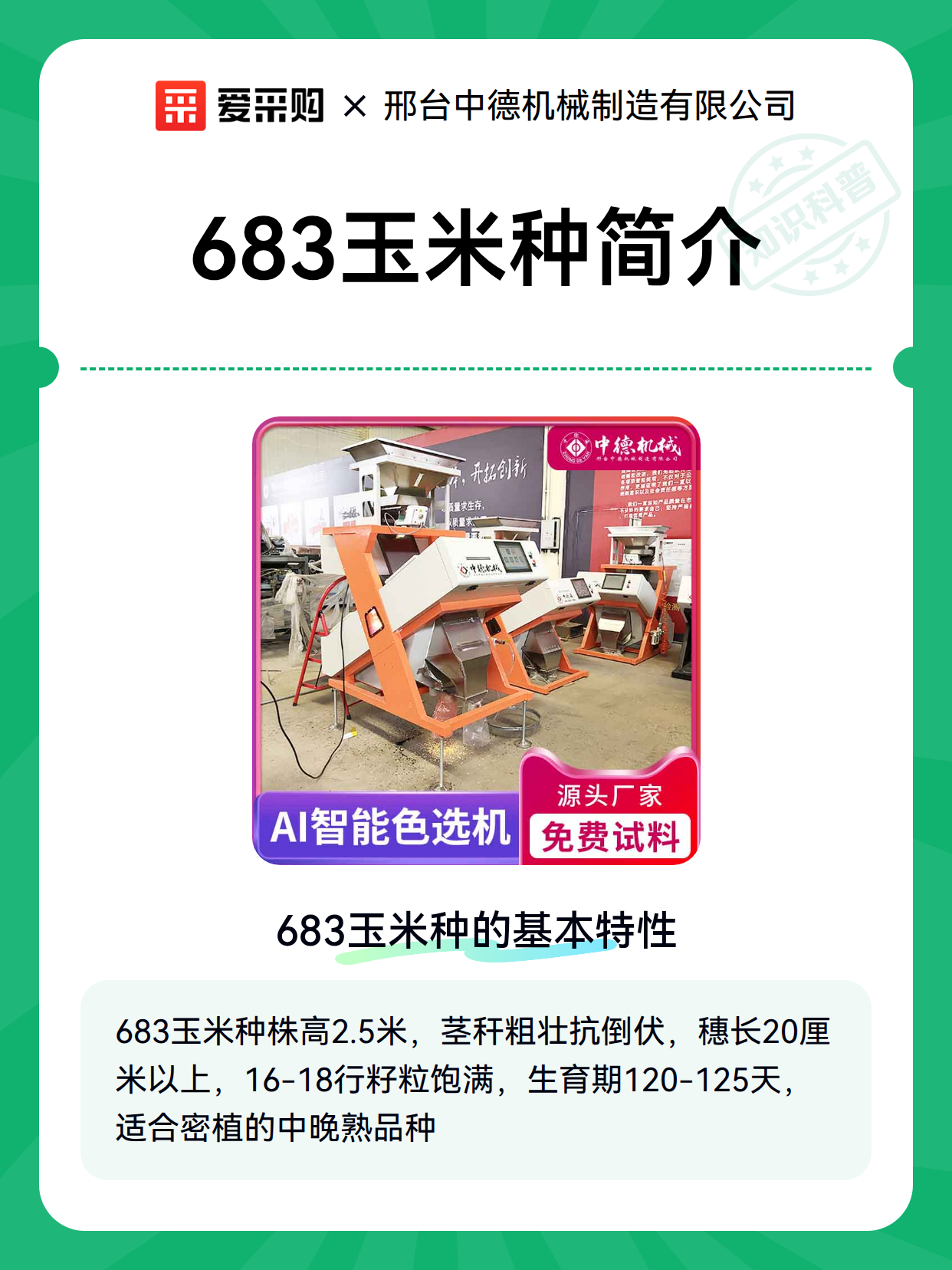 683玉米种简介（图2）